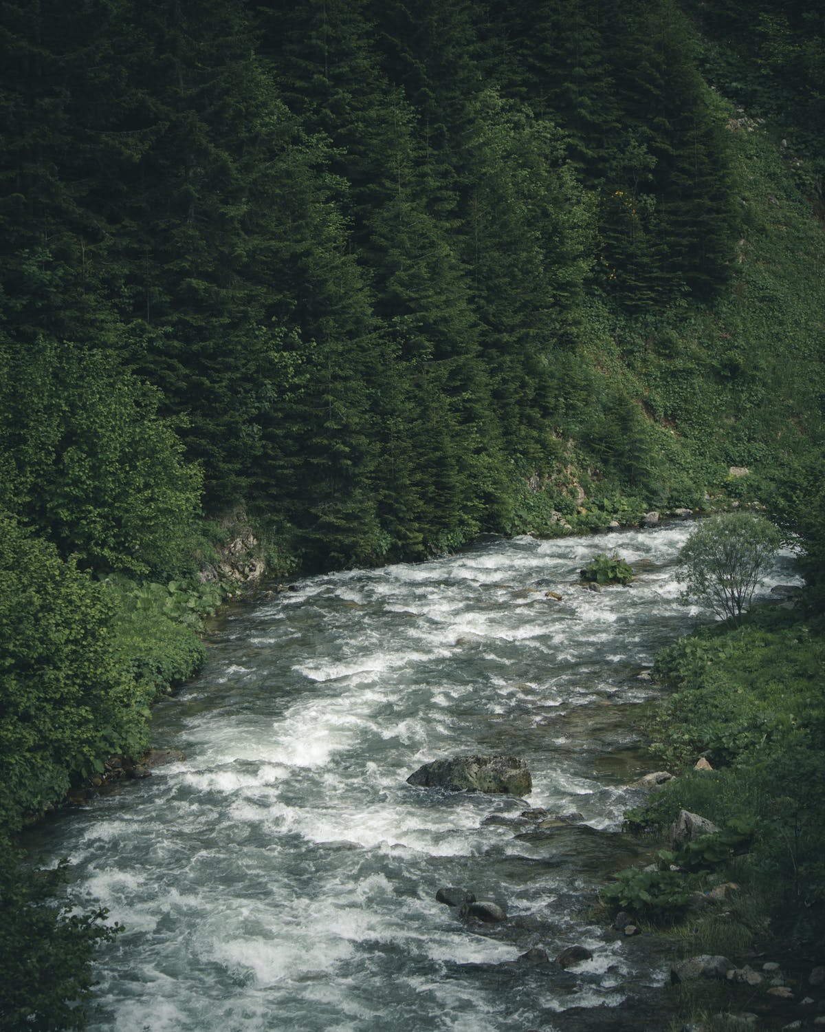 Staying in the flow.jpeg