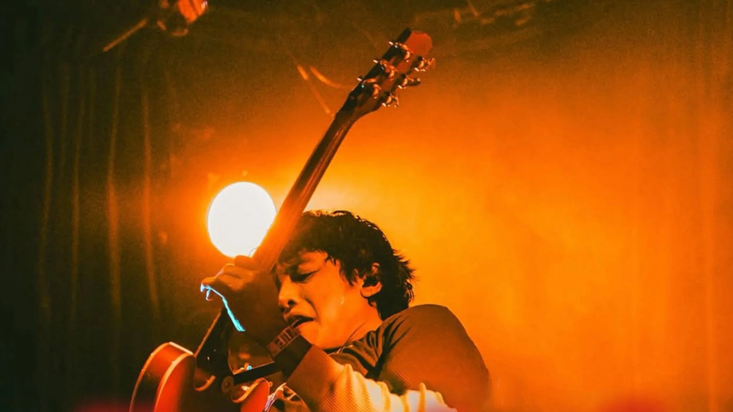 Heavy Leaf &amp; Guests