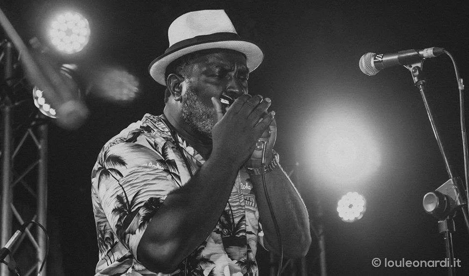 Dust Me Down Blues Band