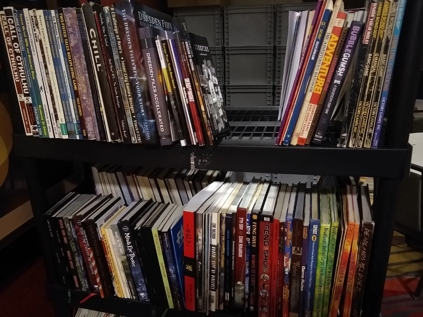 One of the bookshelves with books. Feng Shui anyone? Maybe Call of Cthulu?