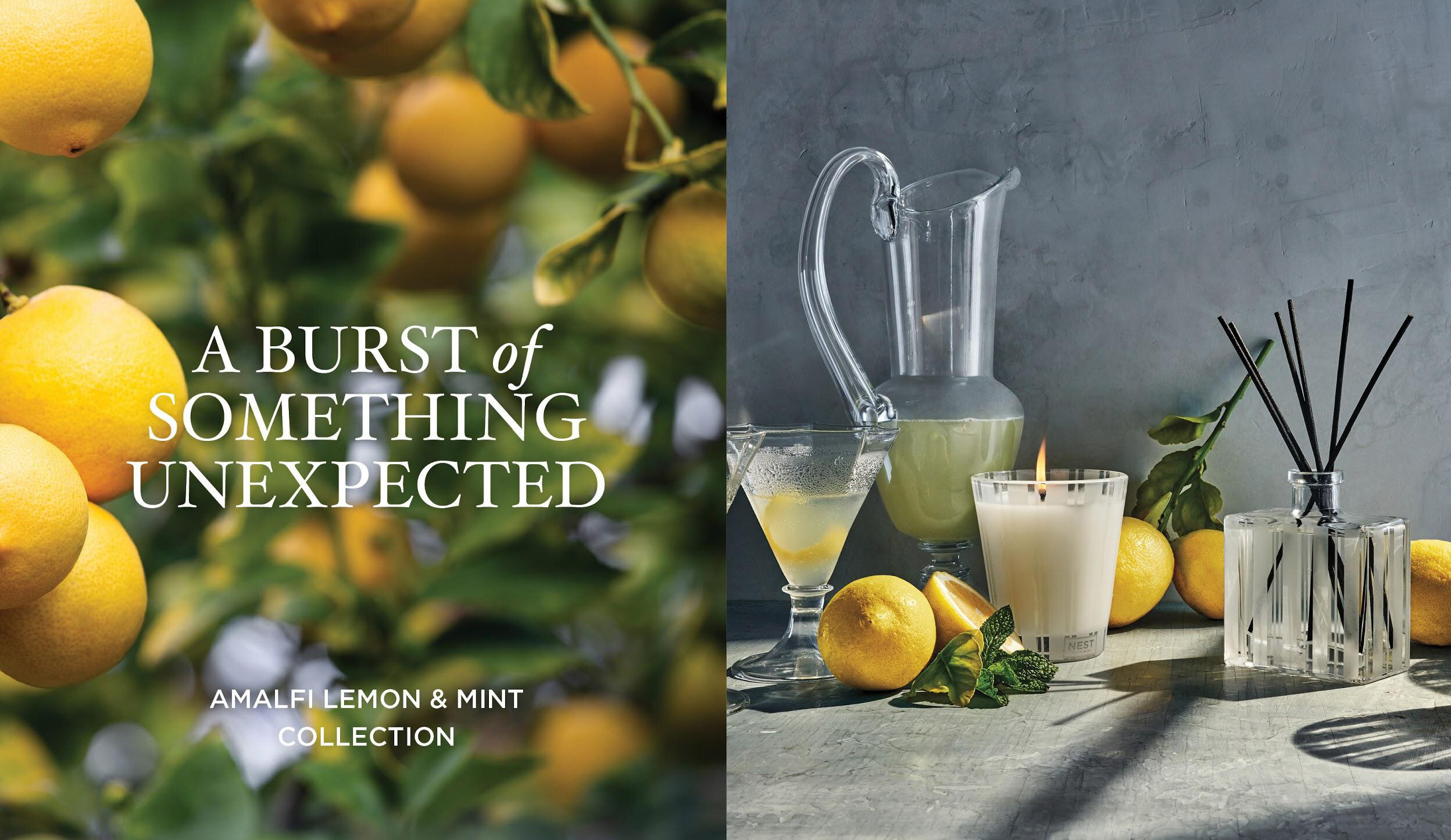 NEST  BRAND TOOLKIT RSA_Page_11.jpg