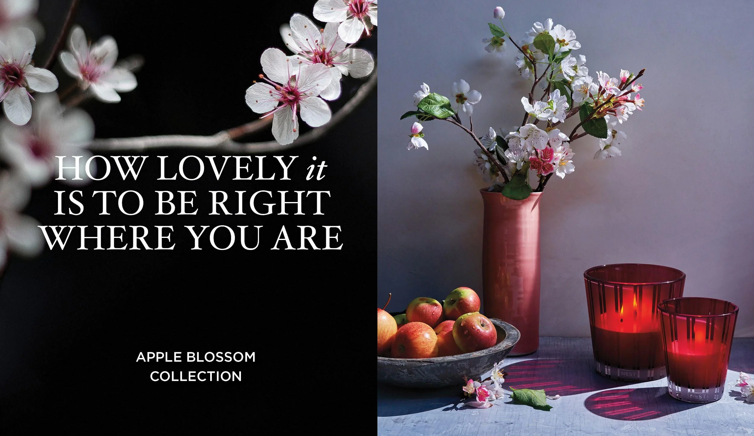 NEST  BRAND TOOLKIT RSA_Page_14.jpg