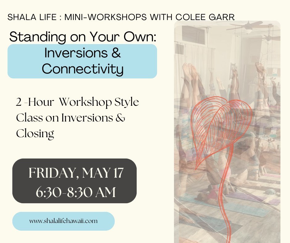 One week away!

FRIDAY May 17th  6:30-8:30 AM
@yogacentered 
Standing on Your Own: Inversions &amp; Connectivity
with @colee.yoga 
Learn how to connect the dots

Handstands, forearm stands, headstands, shoulder stands

Take a bow and close the practi
