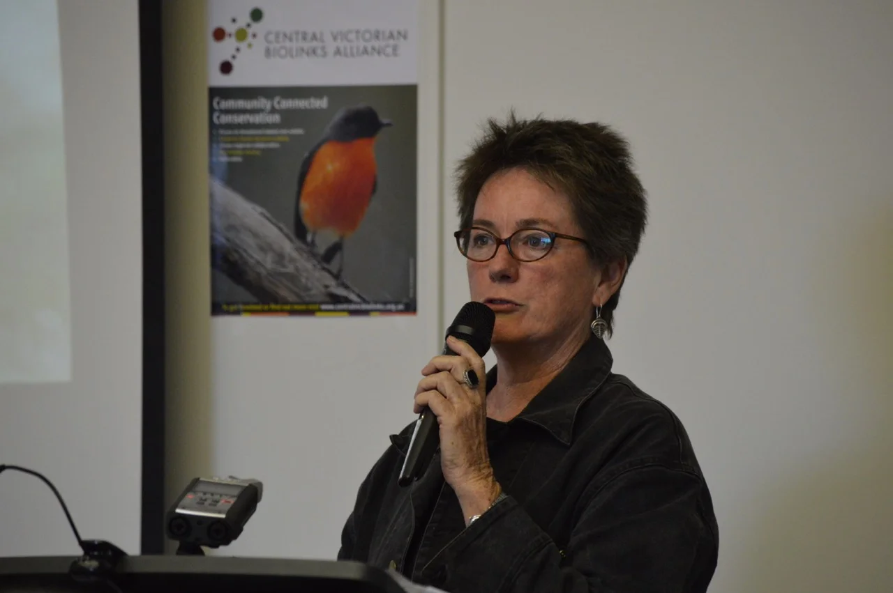 Professor Kate Auty launching CVBA after the Glideways Symposium