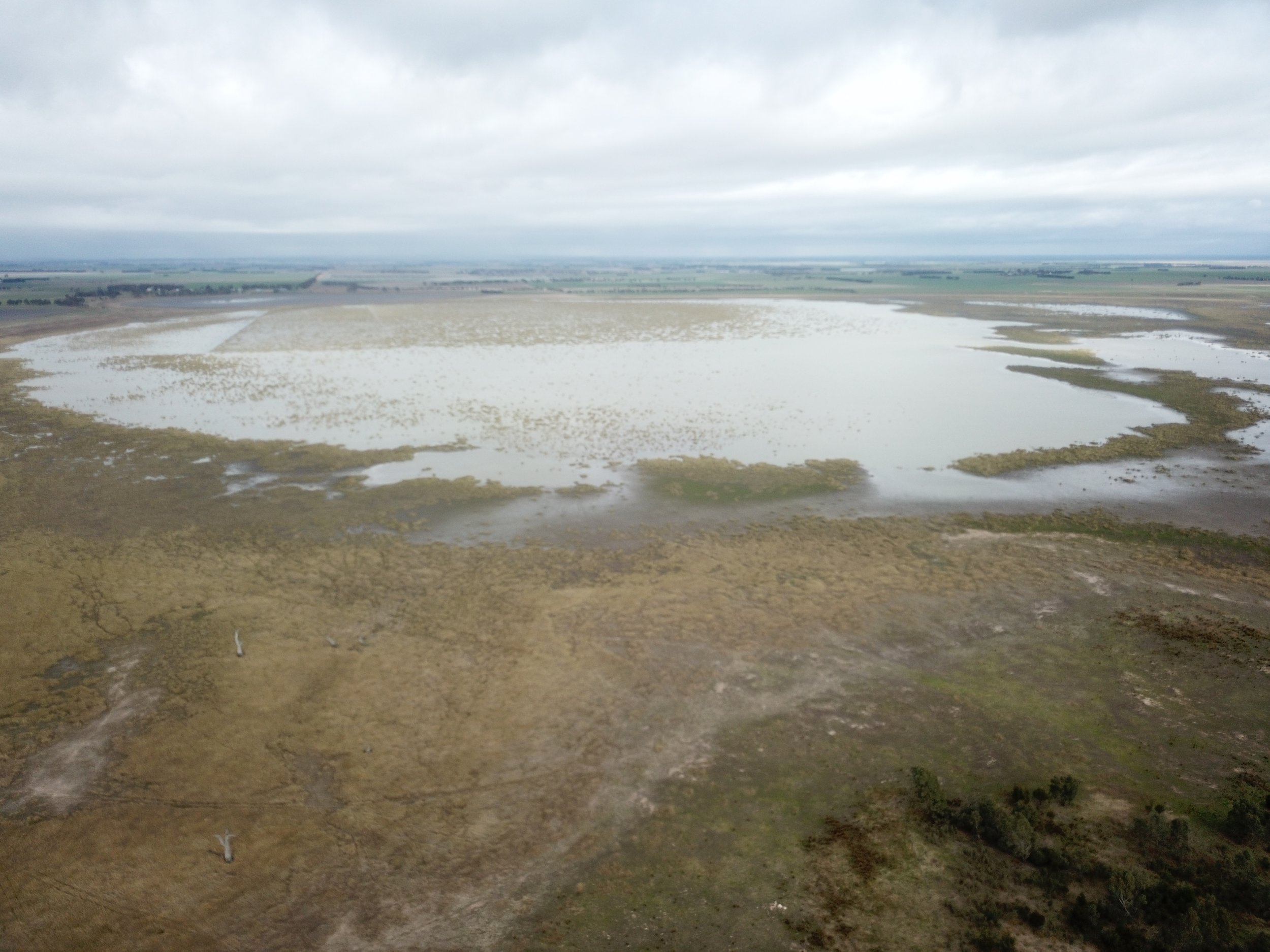 Lake Muirhead