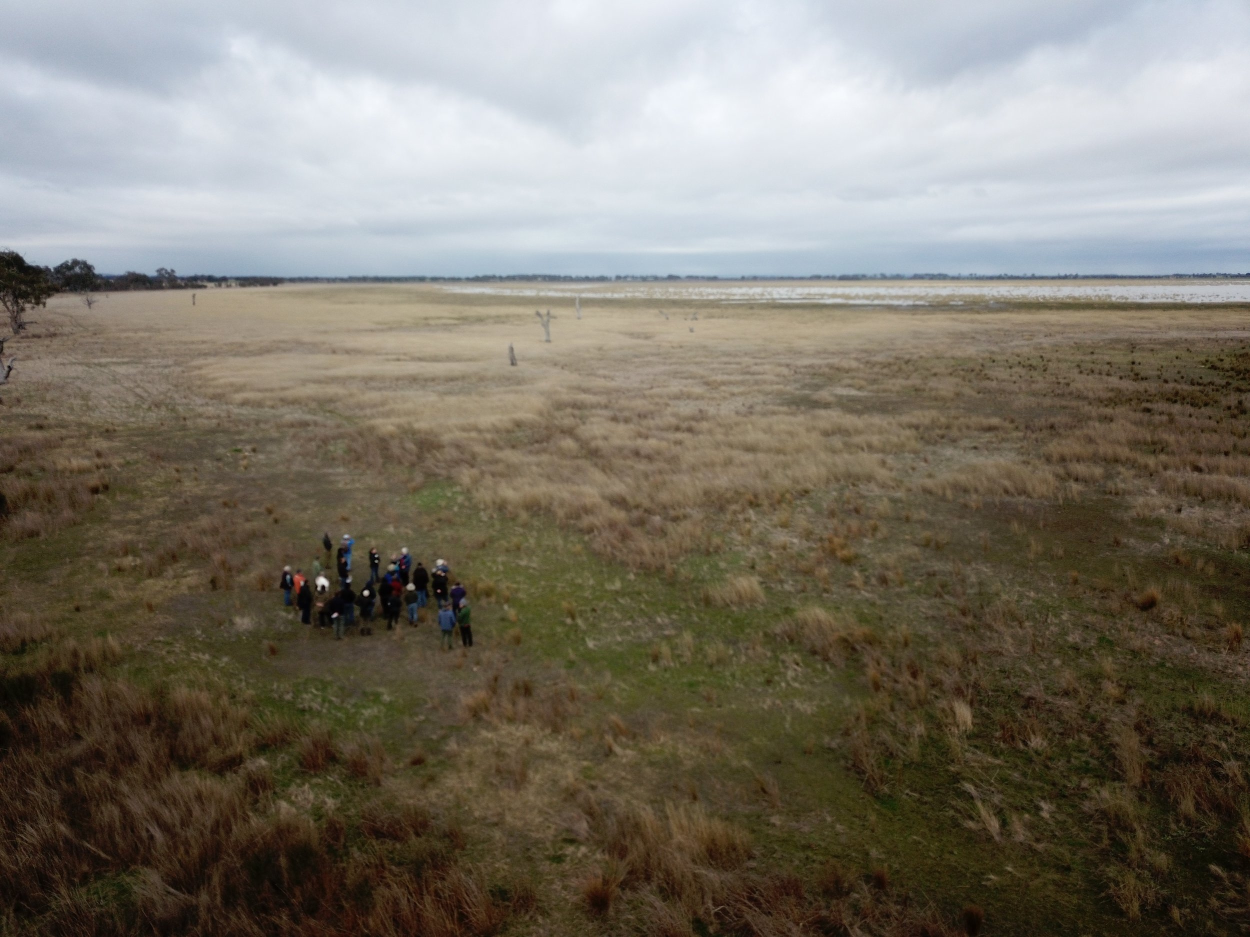 Drone_Lake Muirhead_Water Symposium.jpg