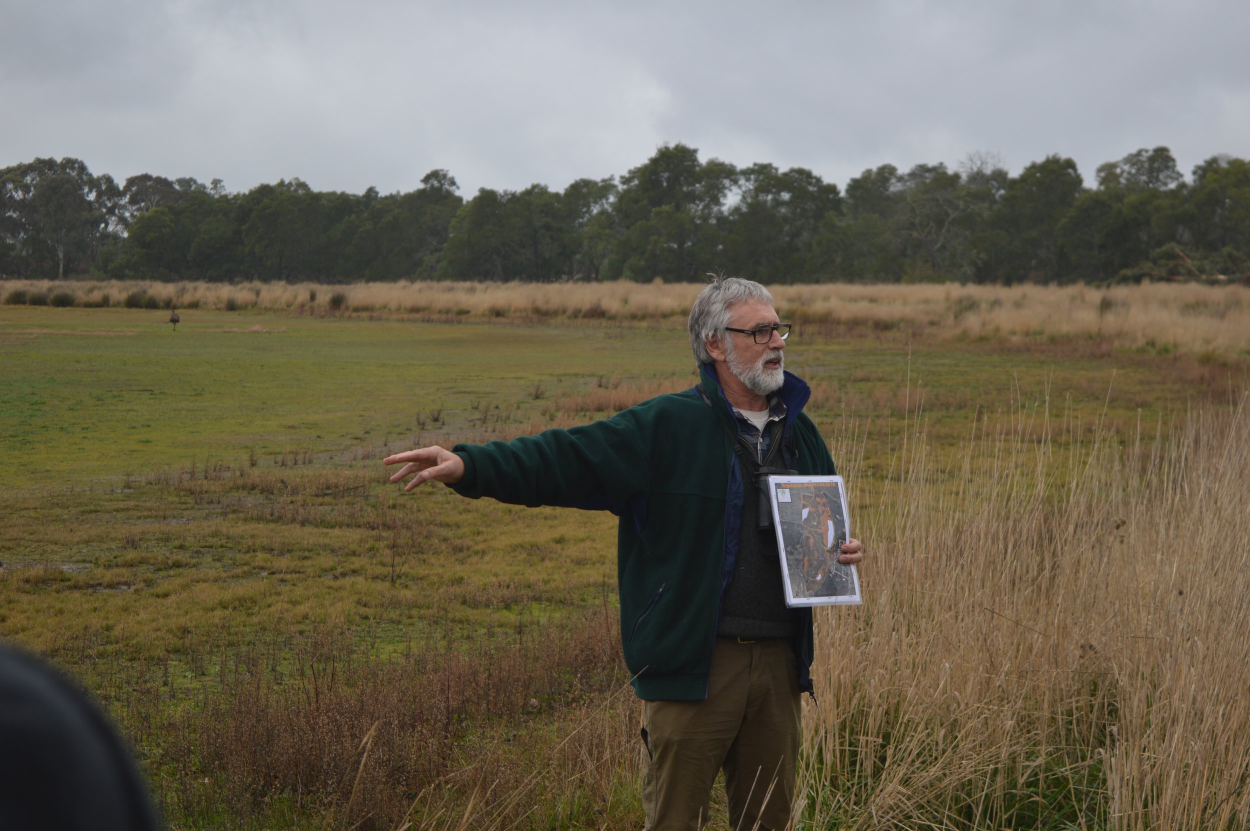 Walkers Swamp Restoration_Water Symposium_Greg Kerr.jpg