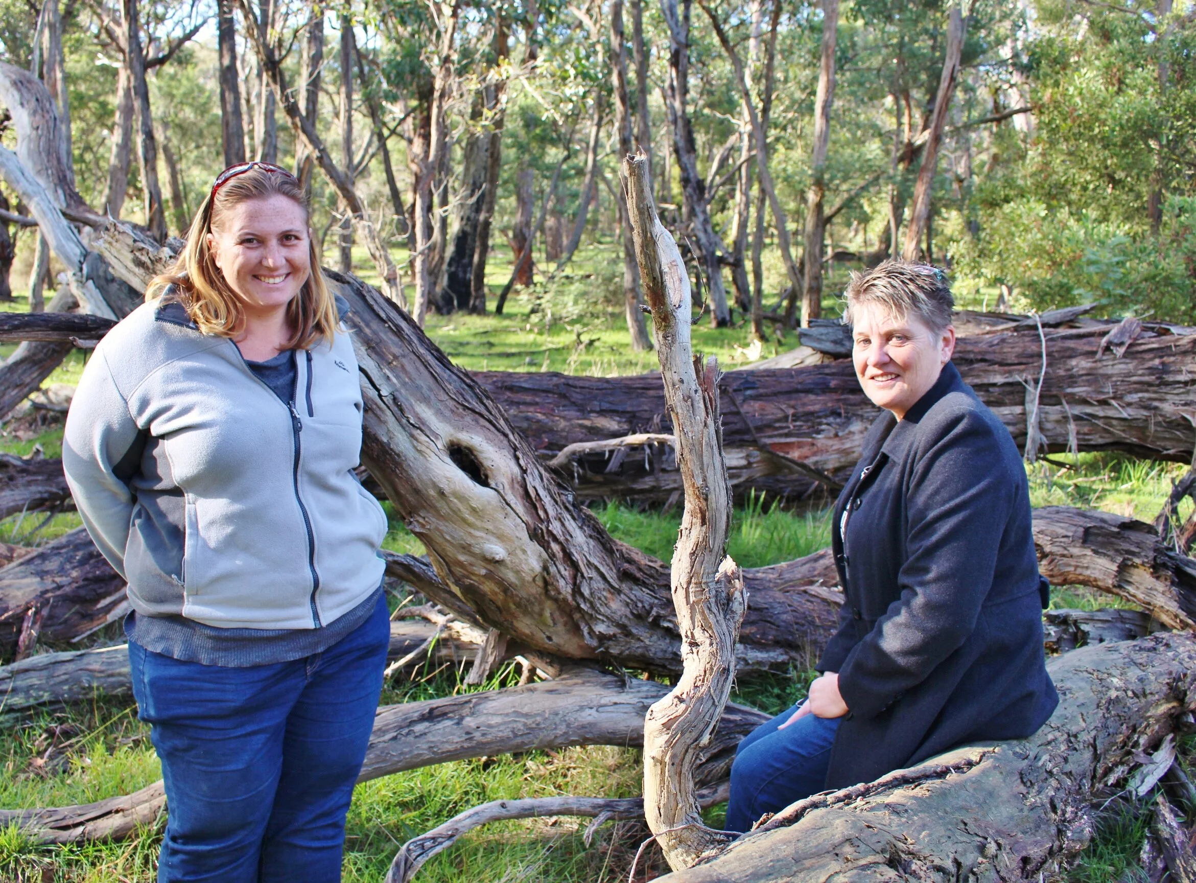 Conservation Goes Digital