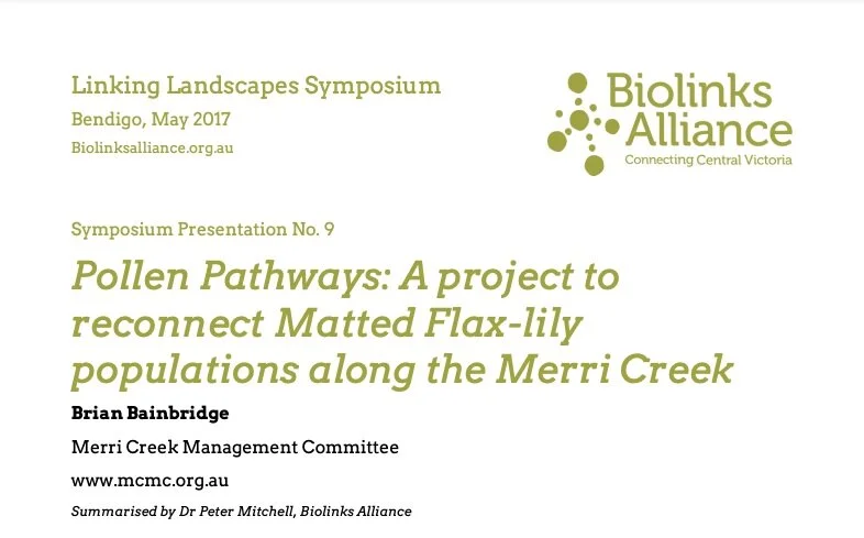 Pollen Pathways: A project to reconnect Matted Flax-lily populations along the Merri Creek. Brian Bainbridge