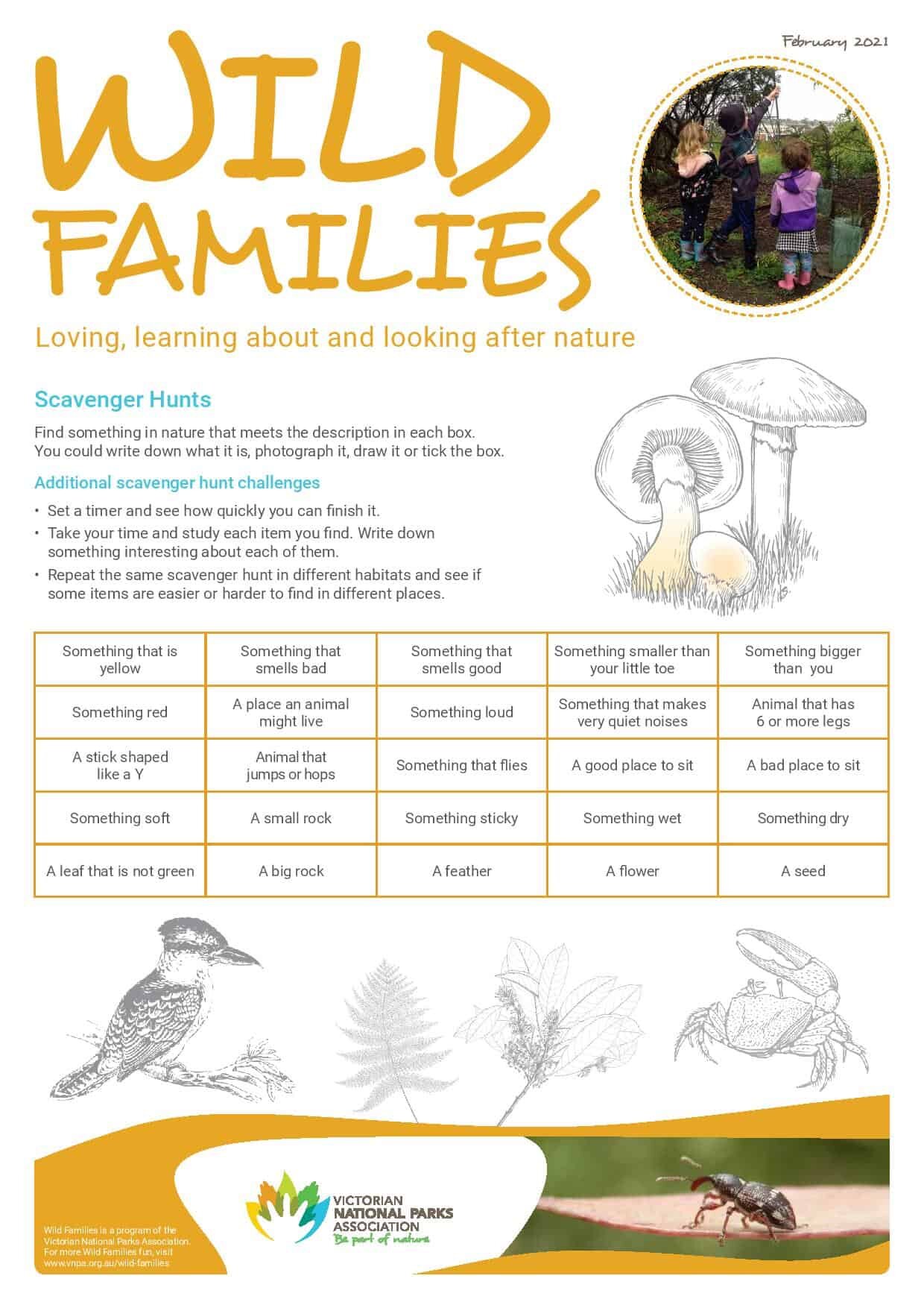 VNPA-Wild-Families-Activity-Sheet-Feb-2021-Discoverers-FINAL-WEB-page-001.jpeg