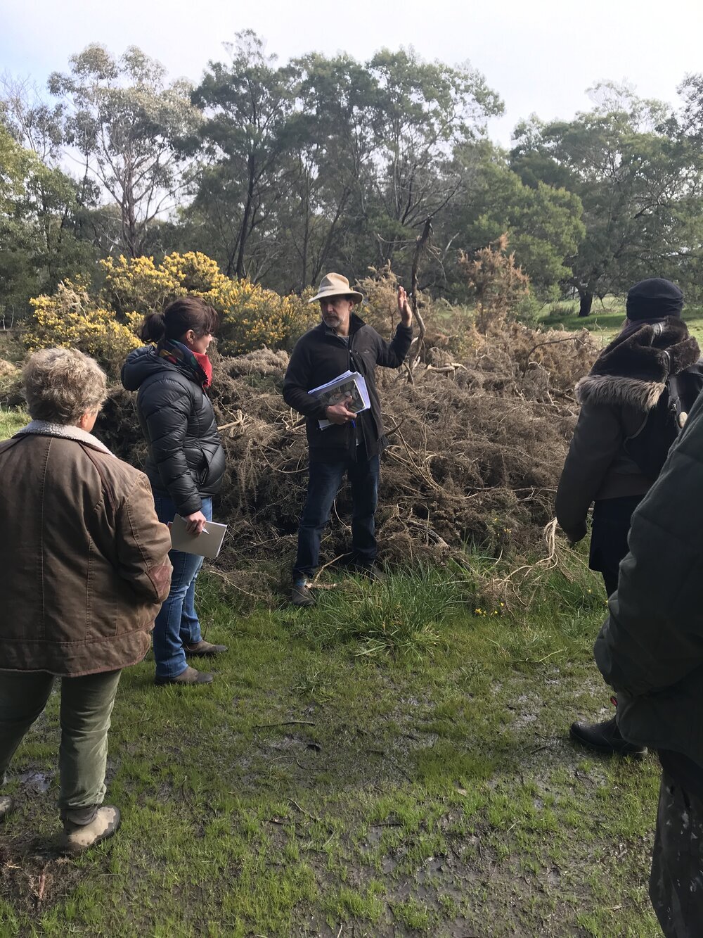  Talking gorse removal 
