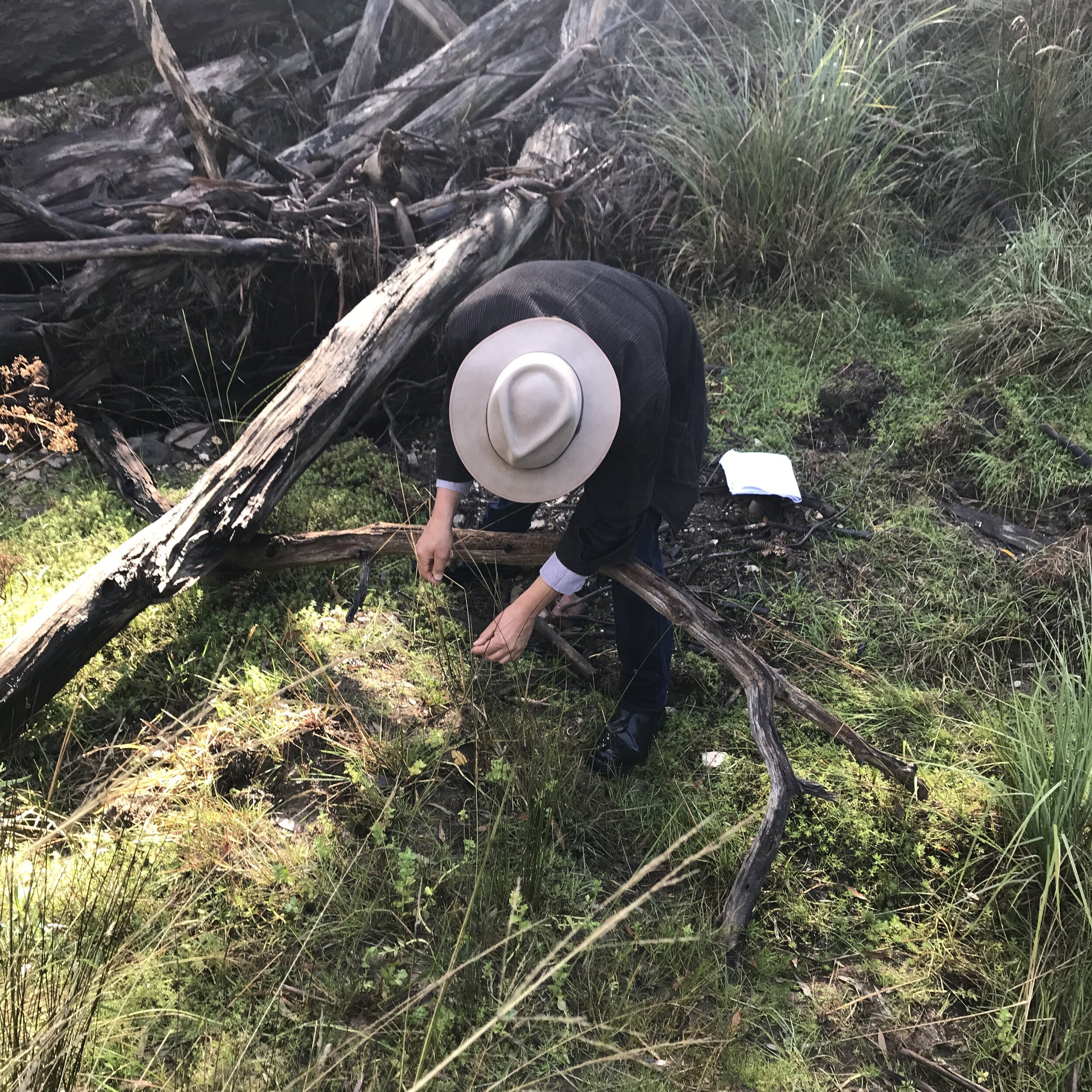  Paul Foreman, Ecologist examining remant vegetation  