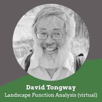 David-Tongway-virtual.jpg