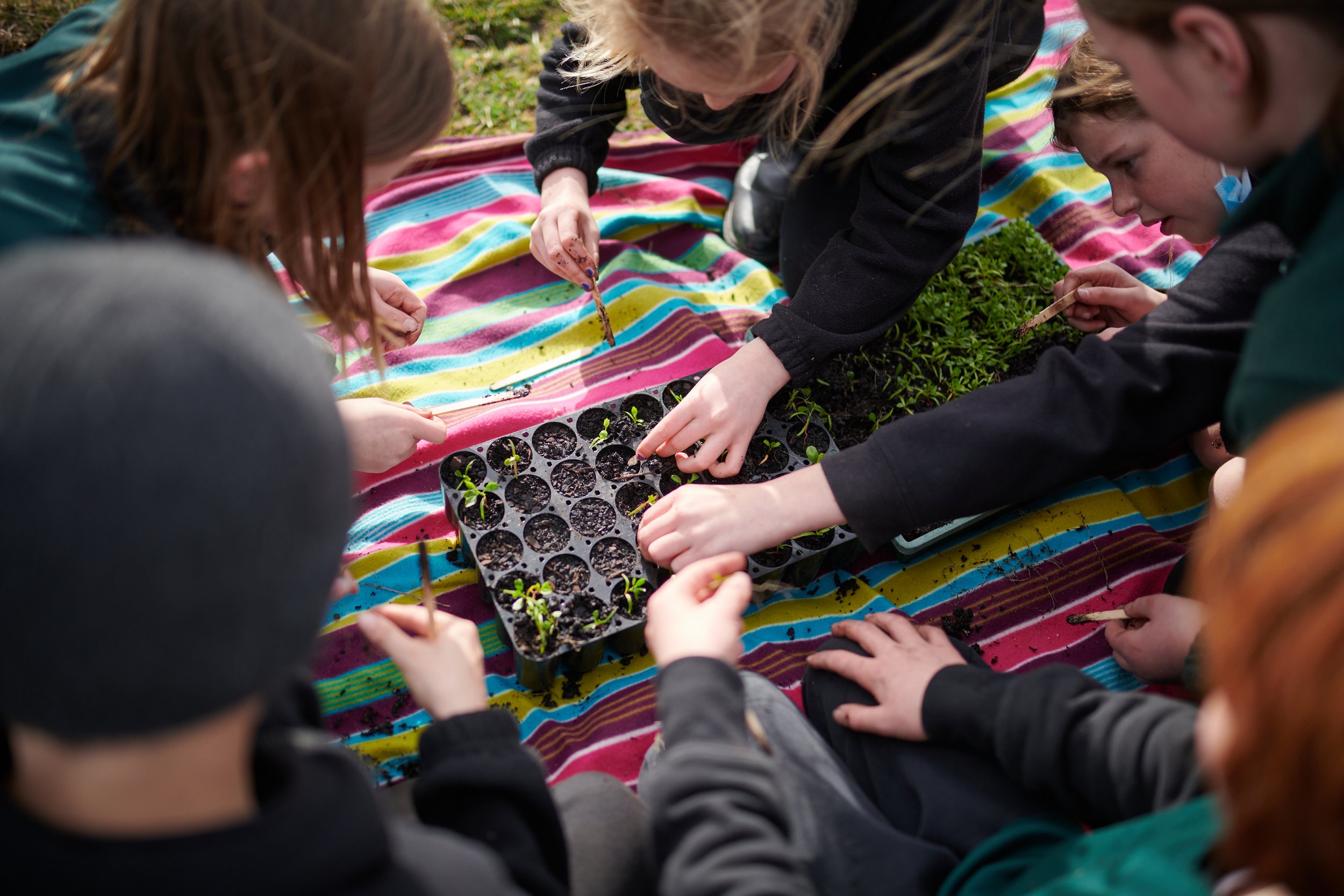  KPS students learning how to prick out seedlings    photo: Holly Craig  