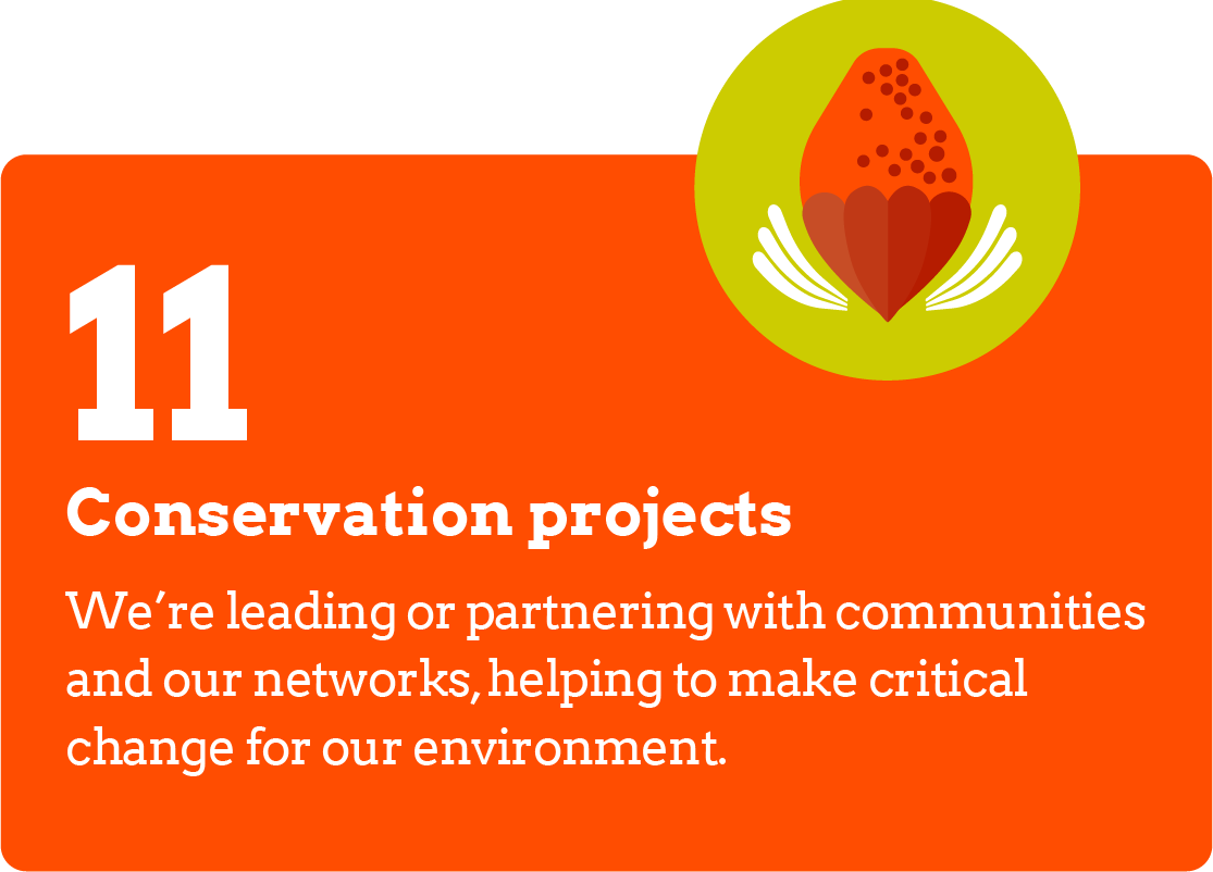 Conservation Projects.png