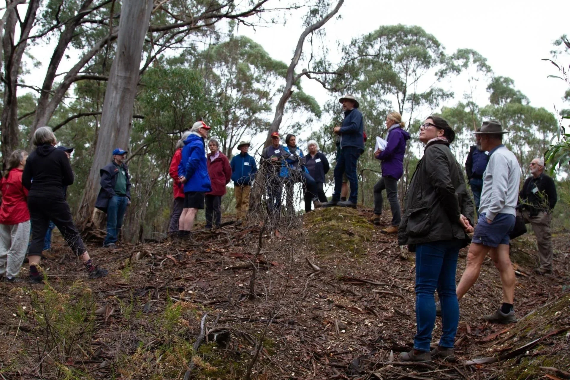 Ecological Tour of Spring Plains Nature Conservation Reserve