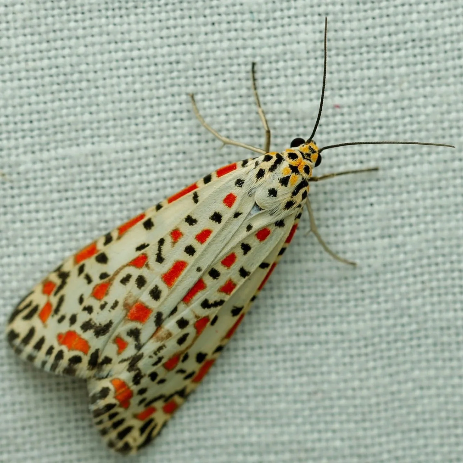 _R7A5886.jpg
