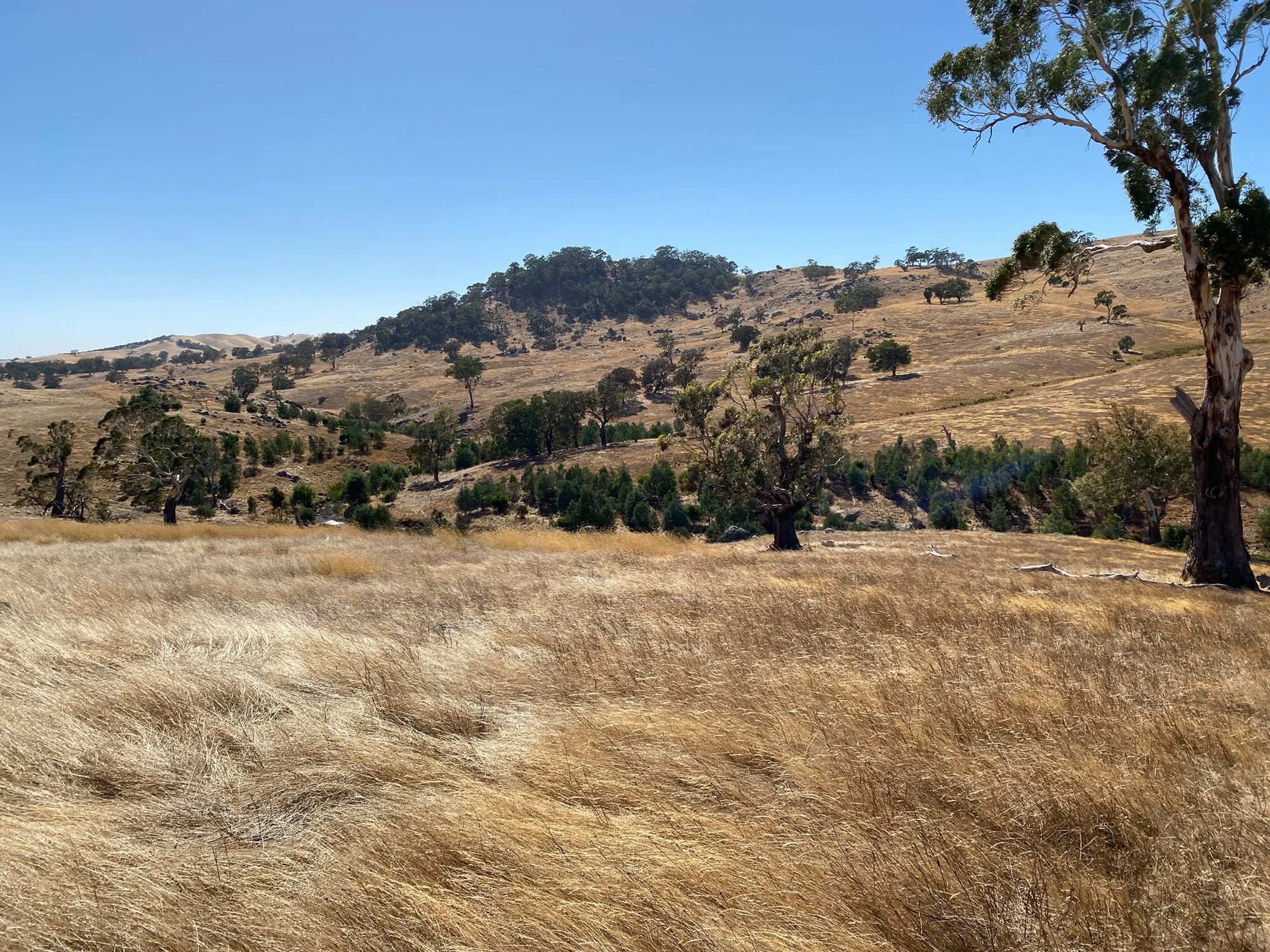 Nature on Farms