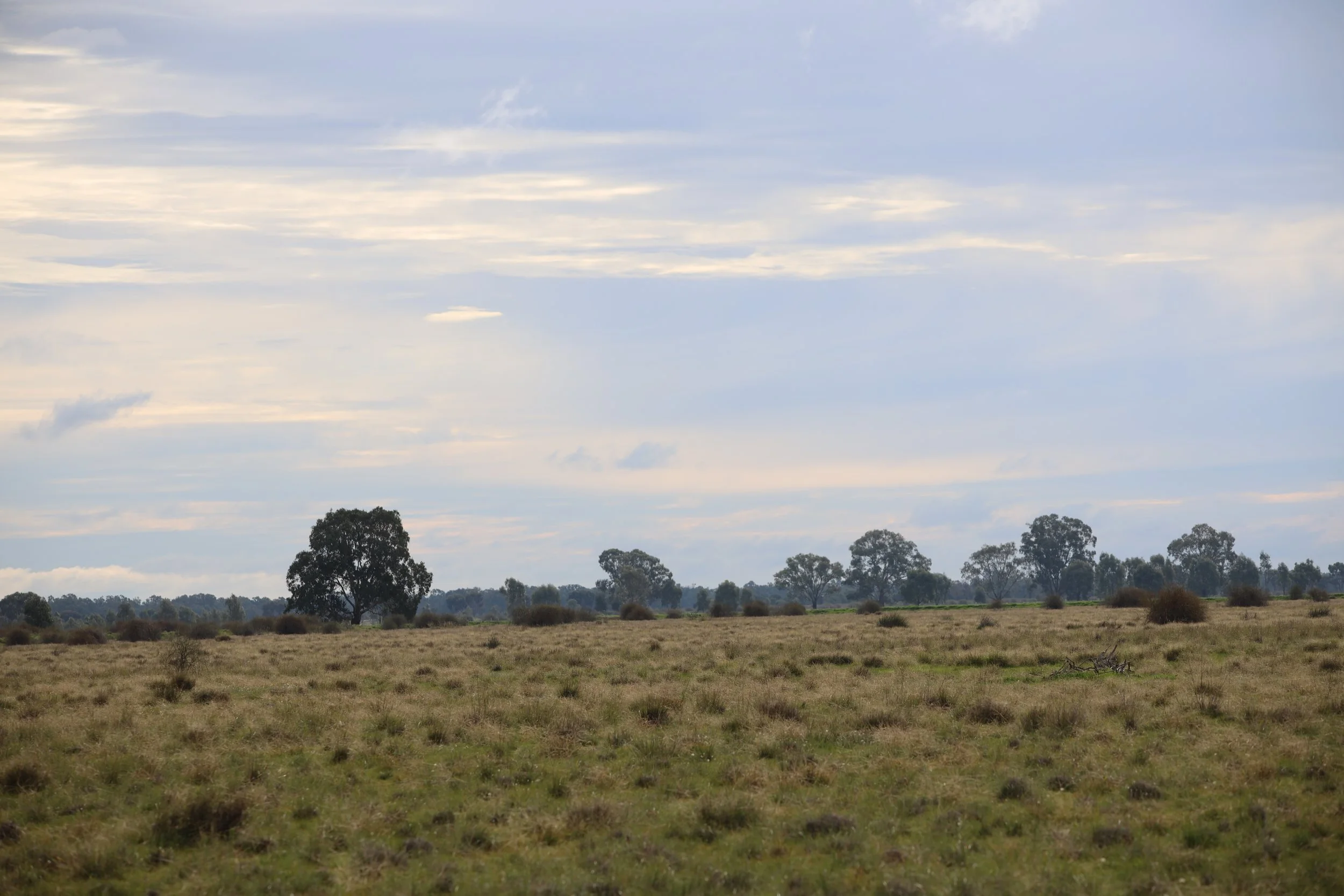 1R7A2551.JPG