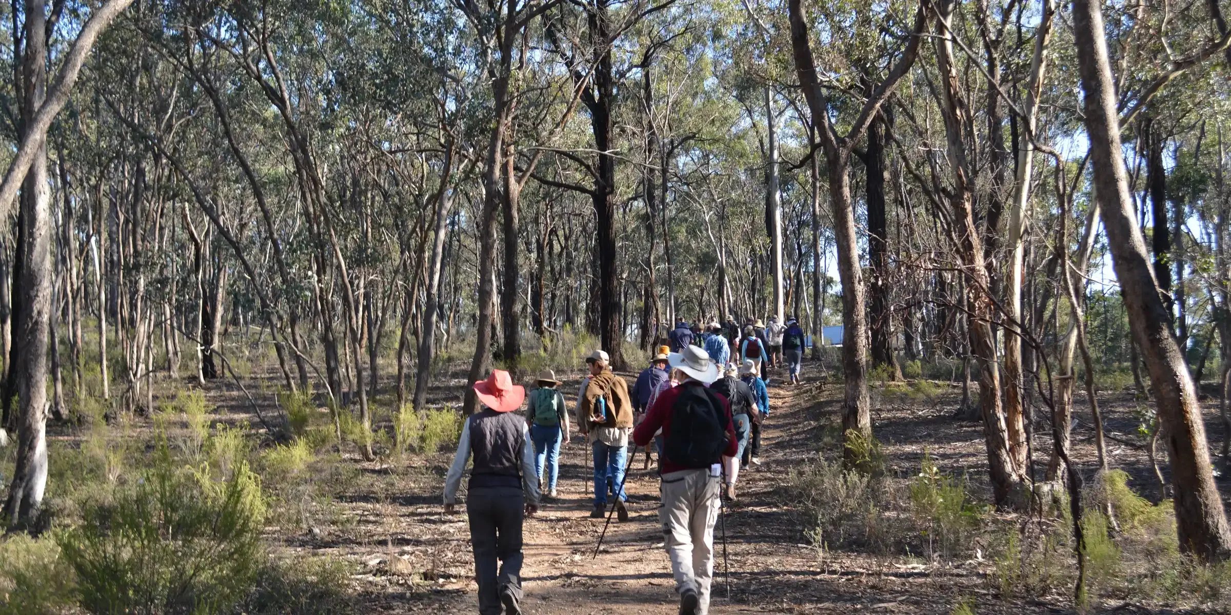Aspinall St Reserve - Ecology Walk &amp; Talk
