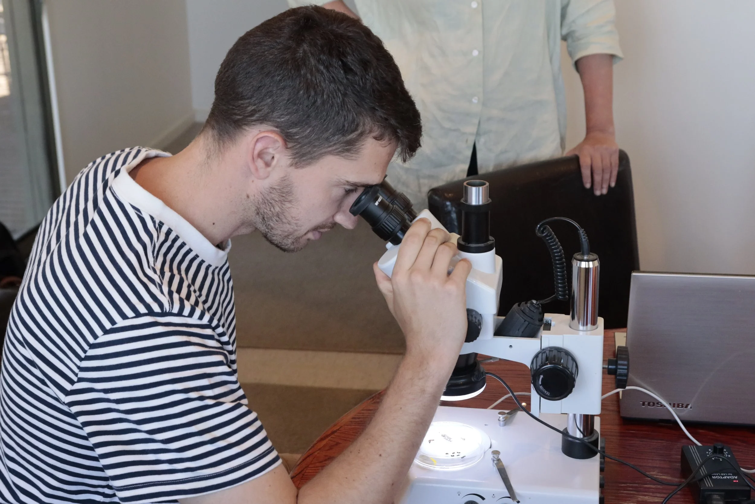 Become a Citizen Scientist in 2025