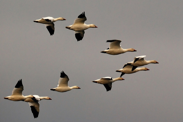 Simple Leadership Advice For New Managers