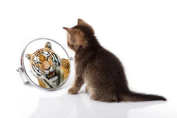 Is It Time for a Self-Image Makeover?
