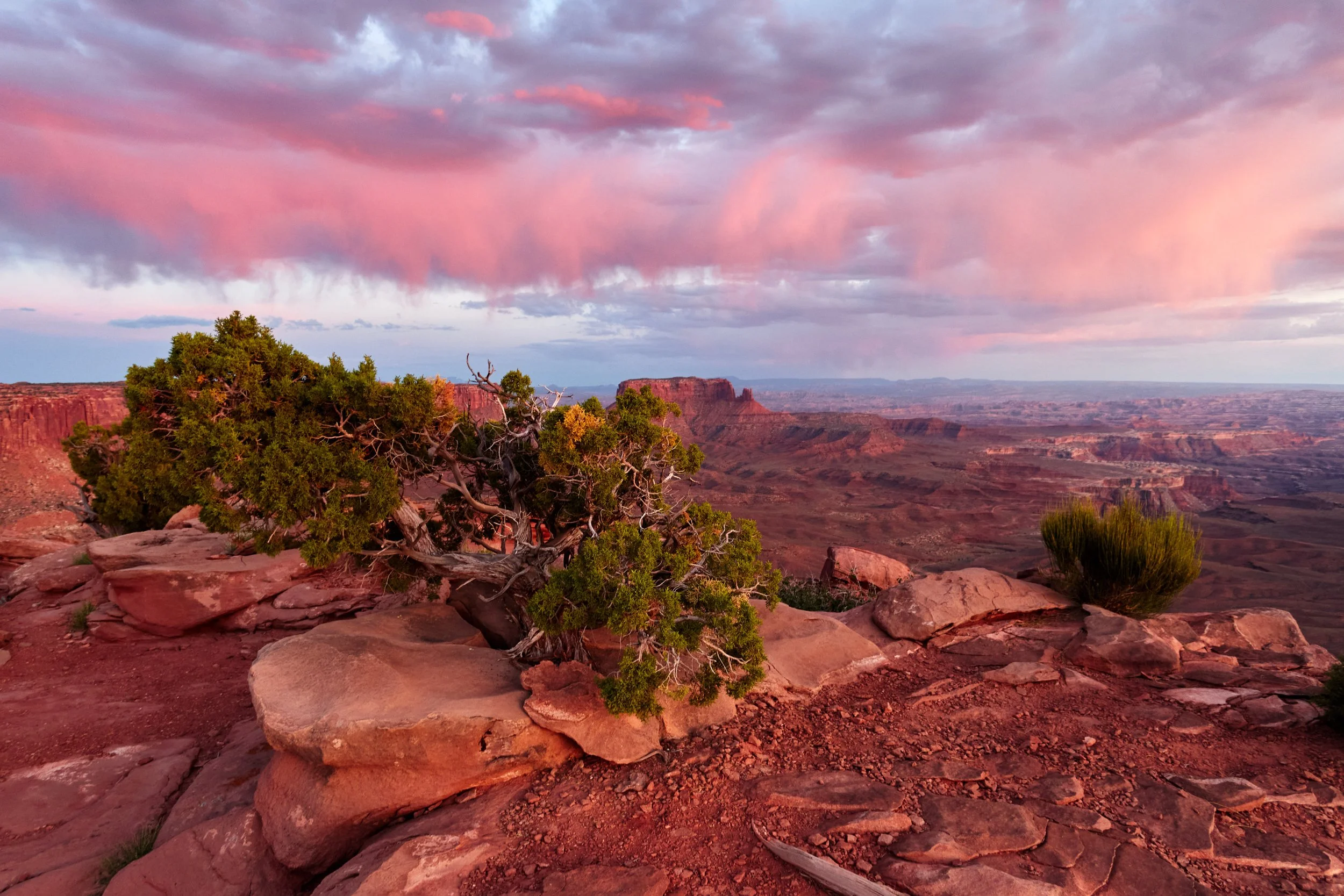 June 2019 Road Trip 17987   15-45 mm f-2.8Landscape.jpg