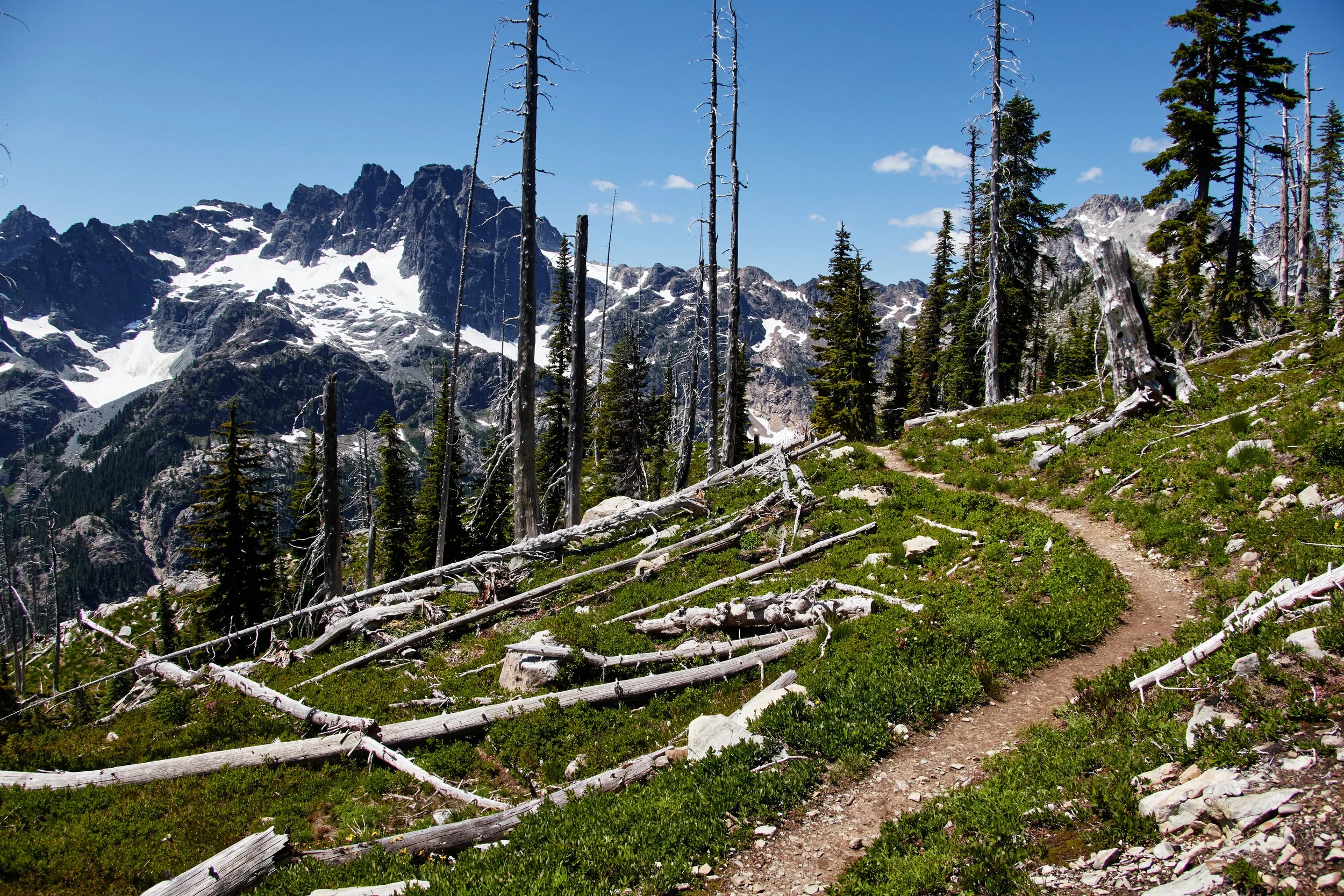 PCTSOBO2019__21281   15-45 mm f-2.8Landscape.jpg