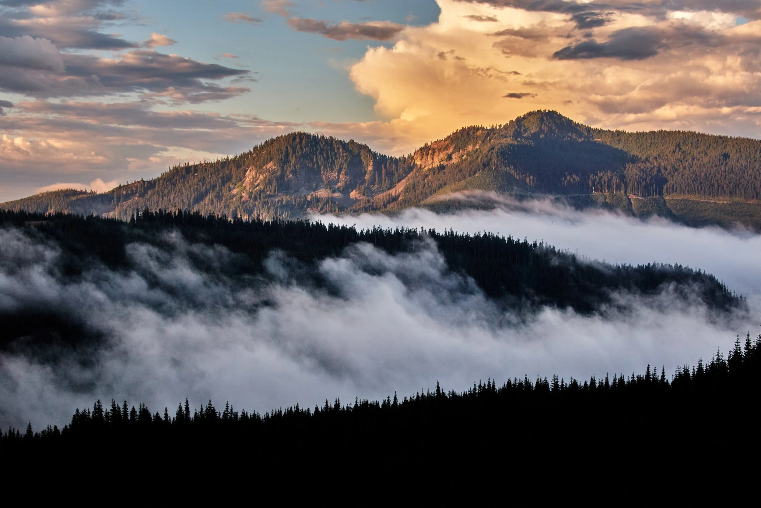 PCTSOBO2019__21543   15-45 mm f-5Landscape.jpg