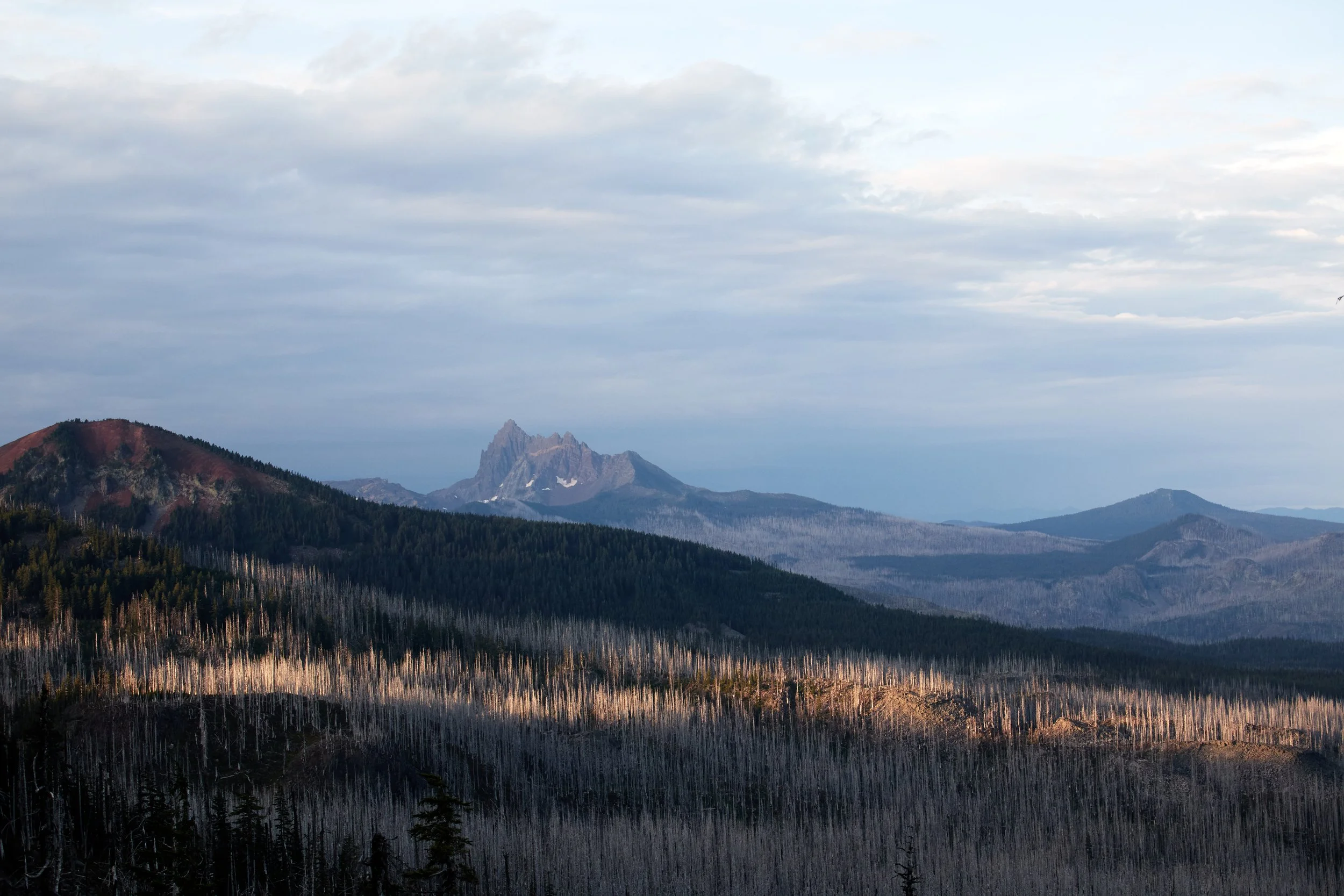 PCTSOBO2019__24388   15-45 mm f-5.6Landscape.jpg