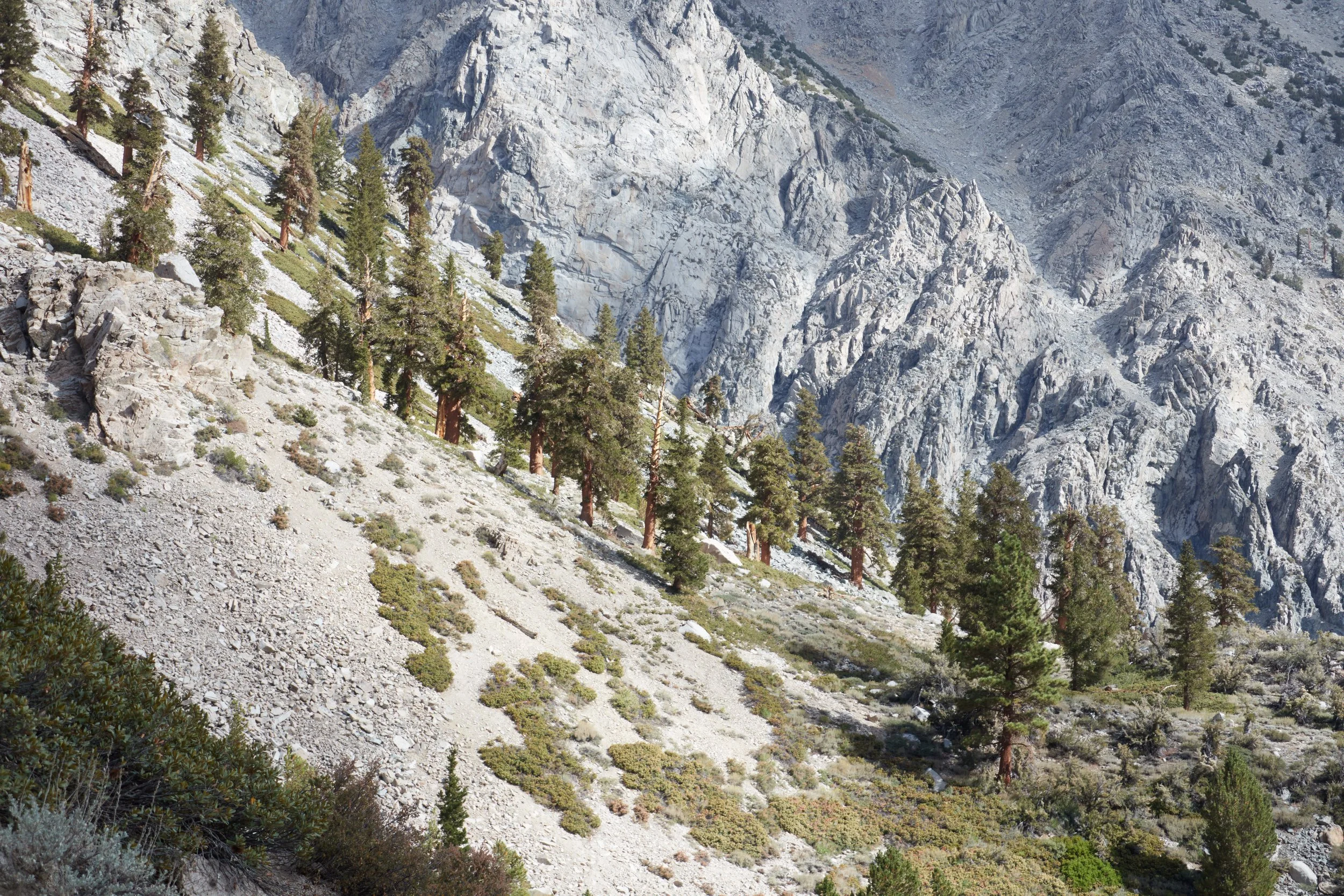 Rae Lakes Sep 25_6.jpg