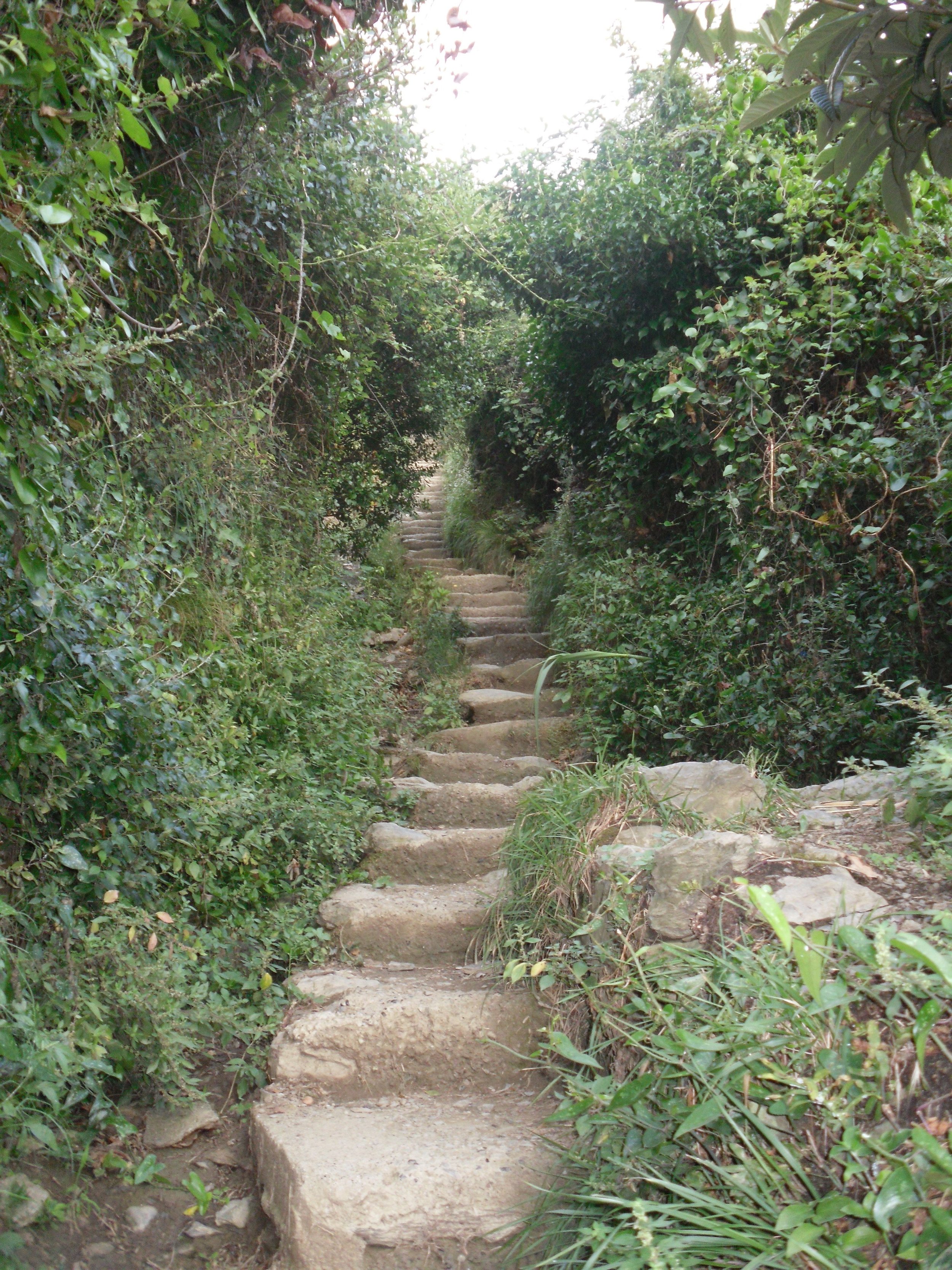 The Cinque Terre Trail