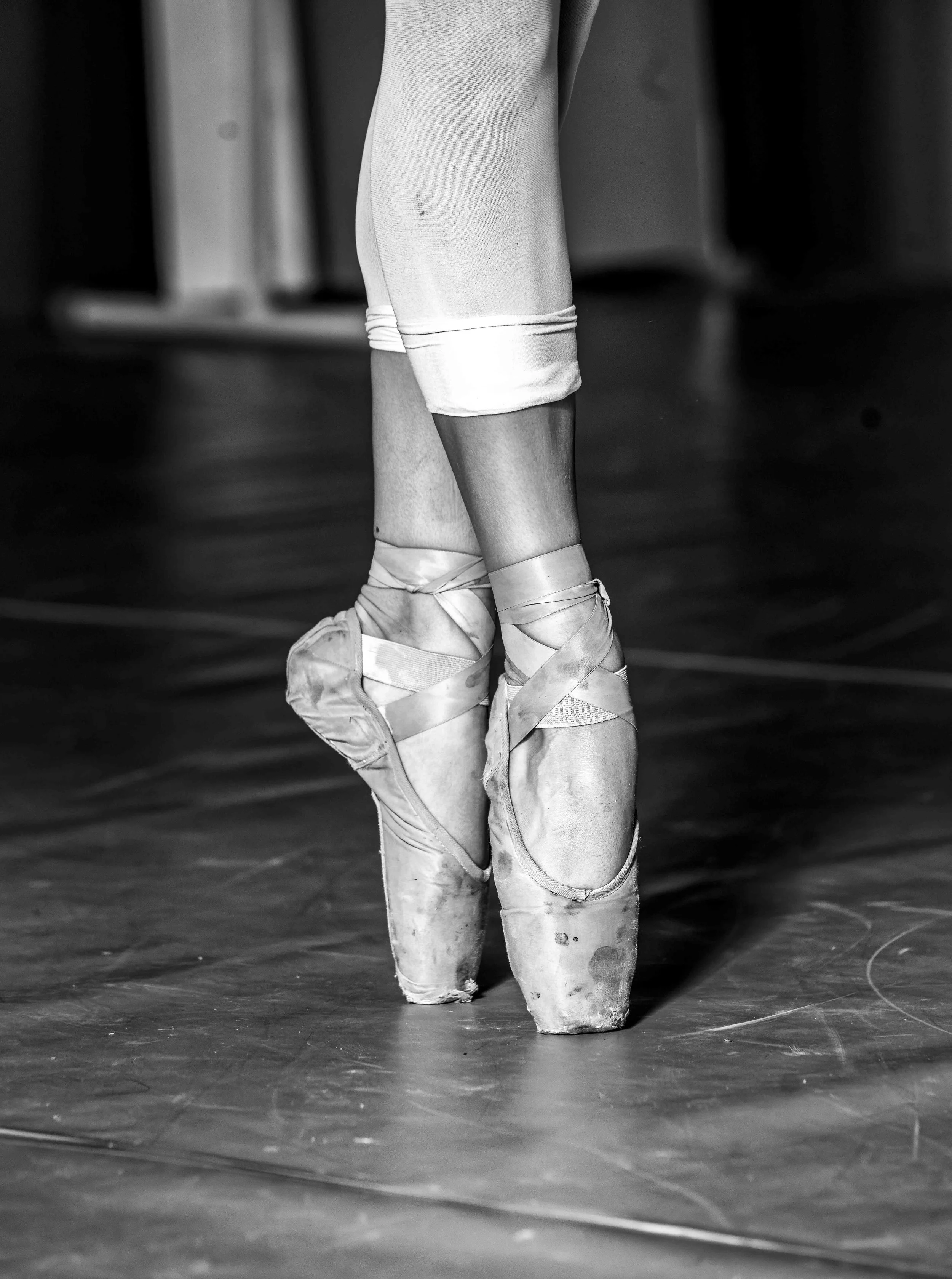 _DSC2193_DxO.jpg
