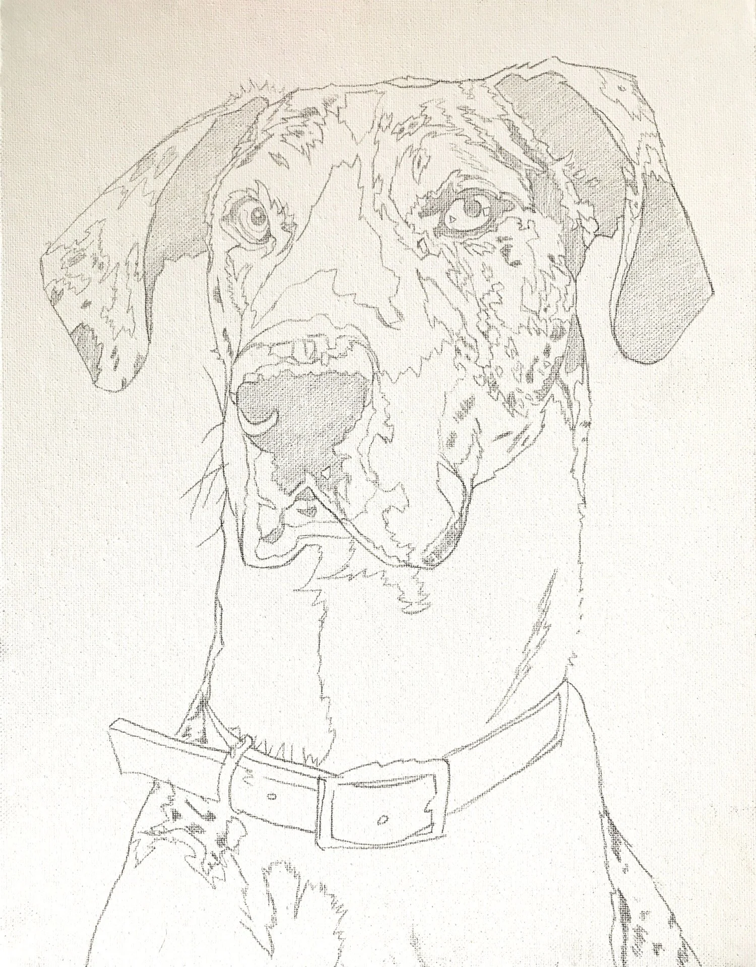 paint_your_pet_rio_line_drawing_web.jpg