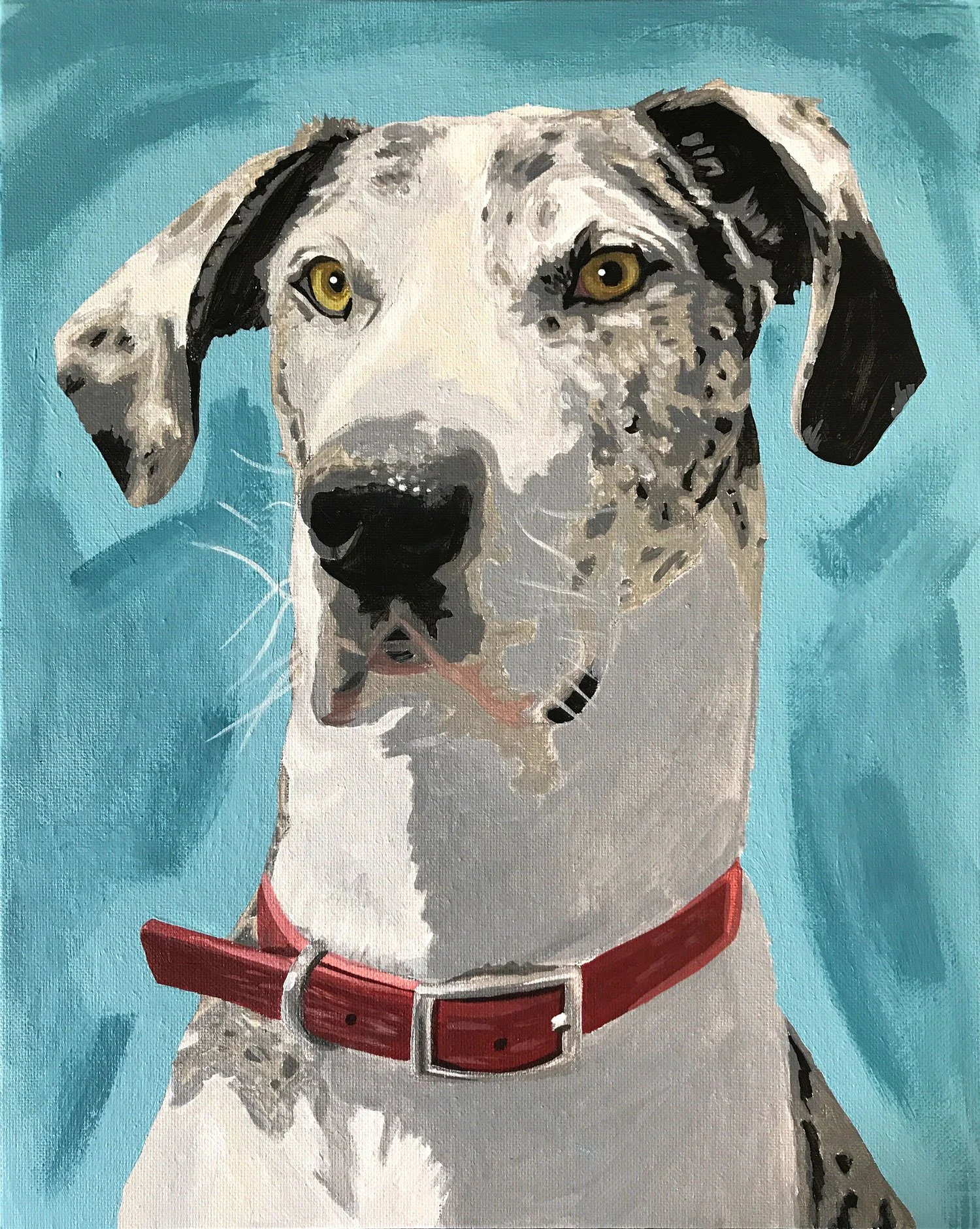 paint_your_pet_rio_full_web.jpg