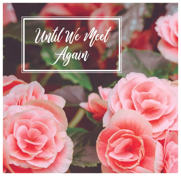 until we meet again.jpg