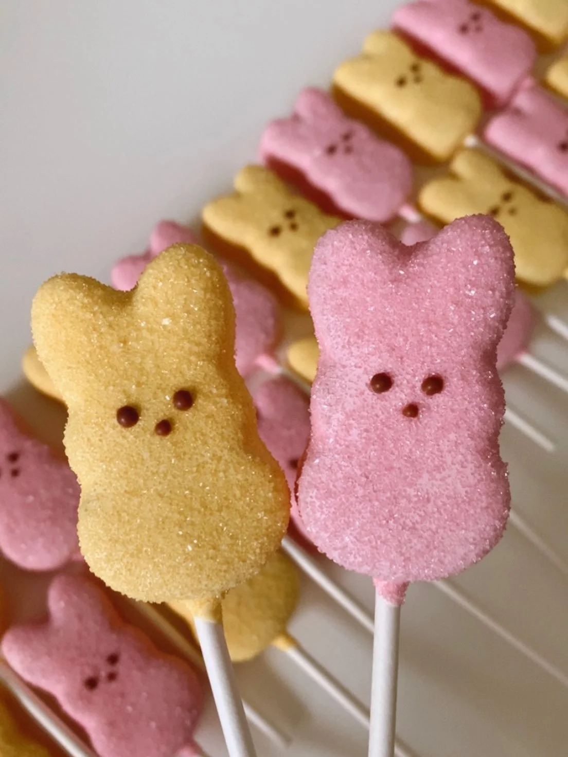 Hi 👋 if you&rsquo;re new here, you may notice we&rsquo;re all about the cute cake pops 🍭 💕

#cakepops #pdxbakery #easter #eastertreats #vanilla