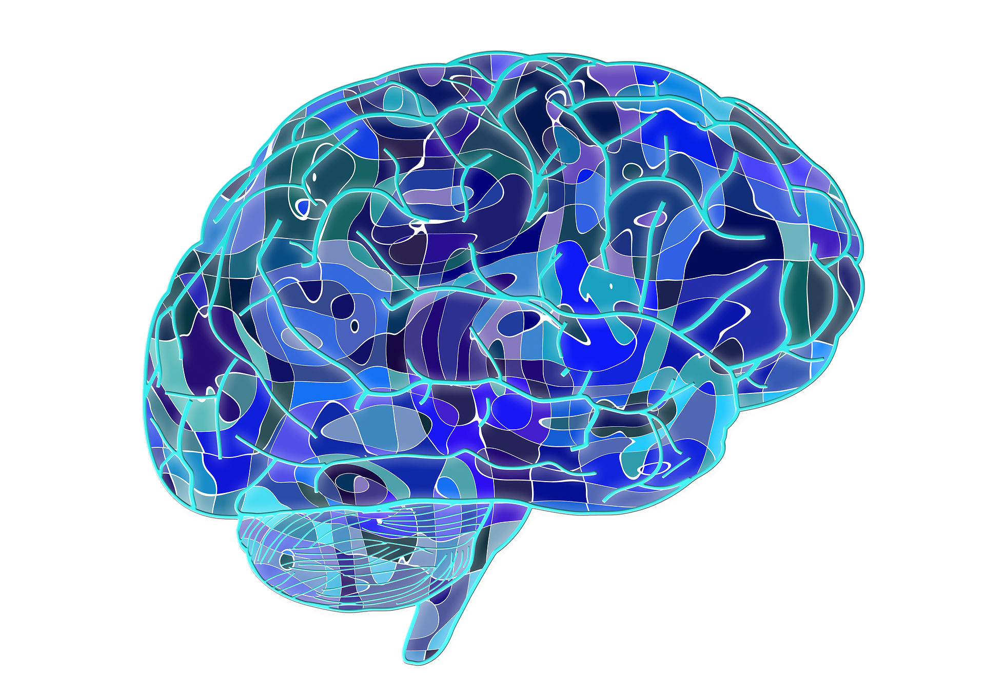 Brain com. Нейропсихология мозг. Нейробиология мозга. Голубой мозг. Абстрактный мозг.