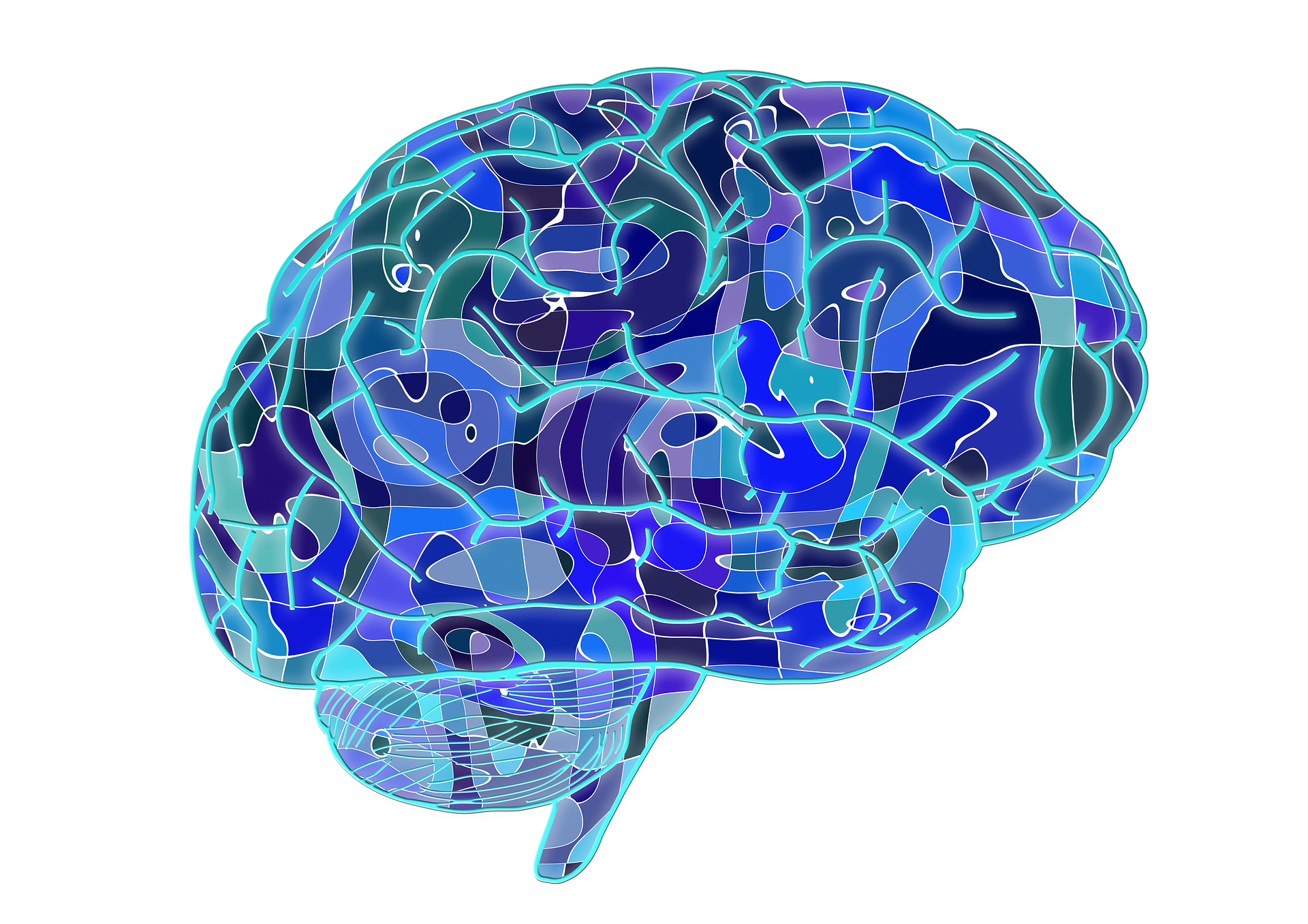 drawn-brain-public-domain-10.png