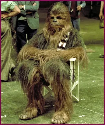 chewbacca+directors+chair.jpg