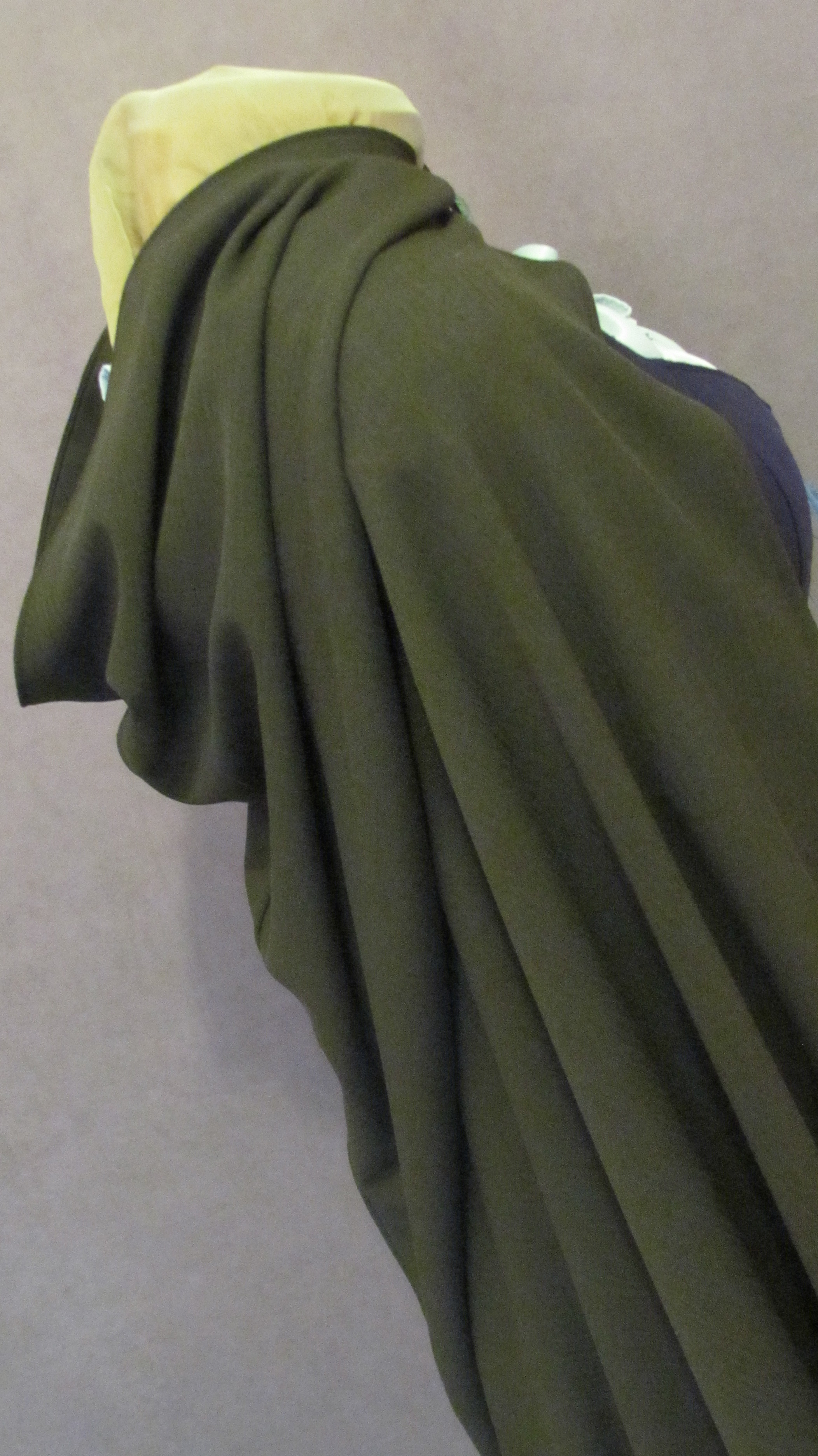 side of cloak hood.JPG