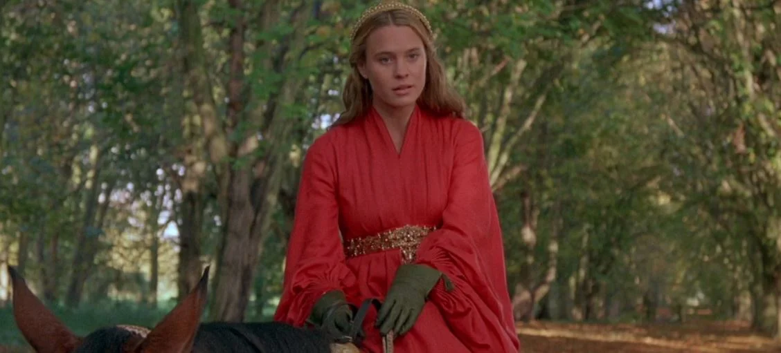 princess bride costume