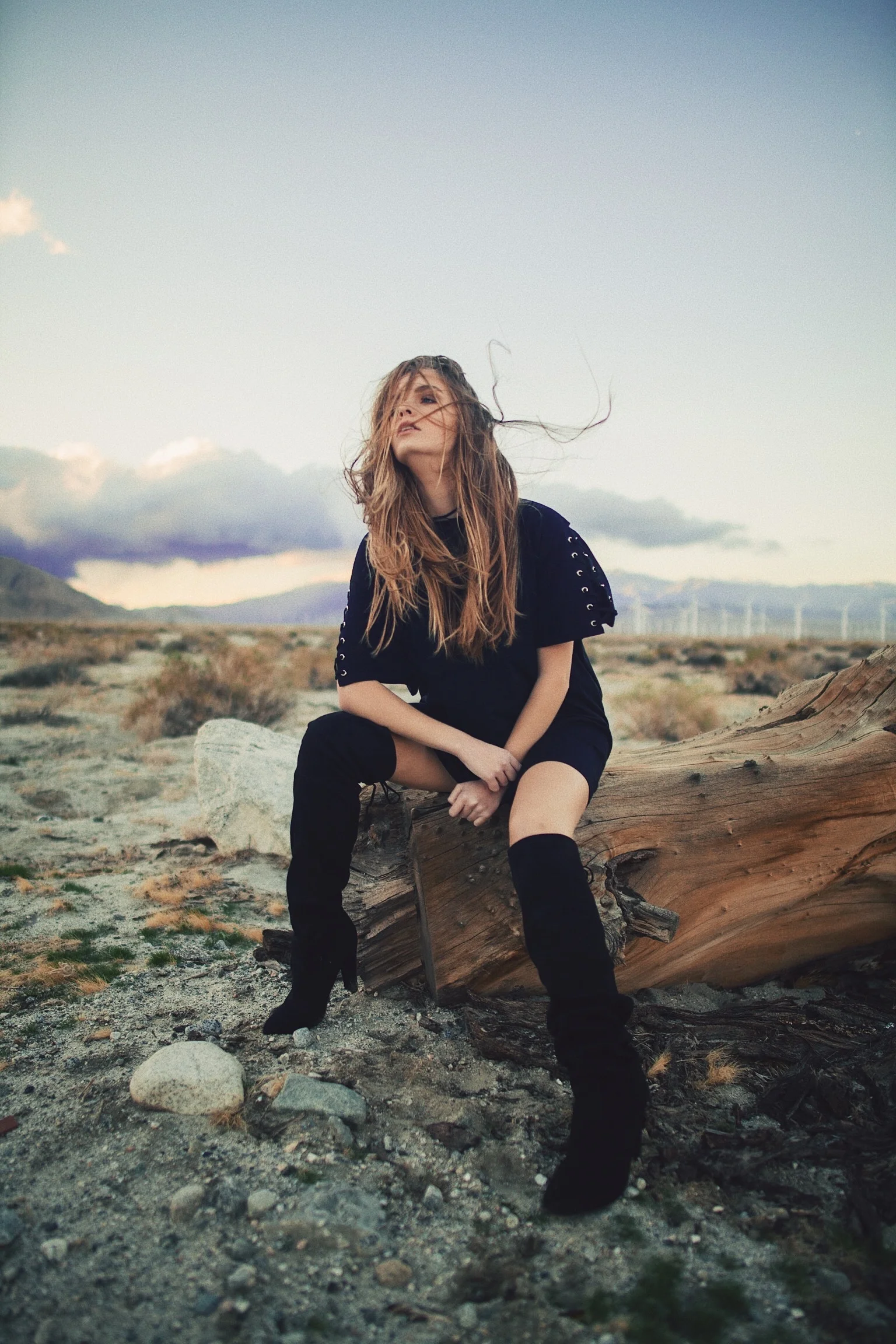 Palm Springs Day Trip