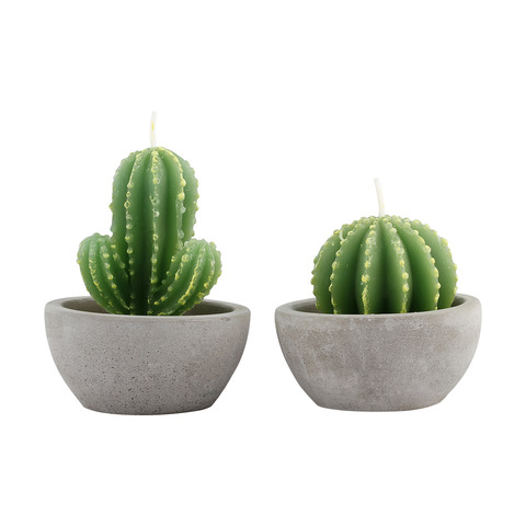 Cactus Candle Set 