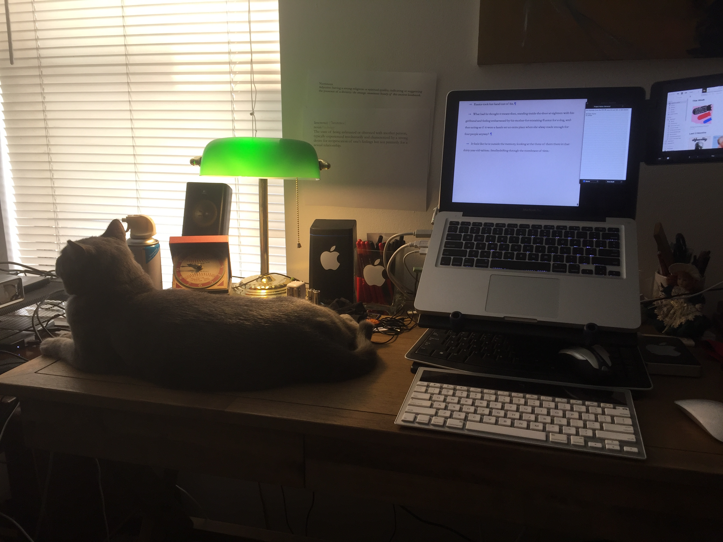 New Writing Buddy