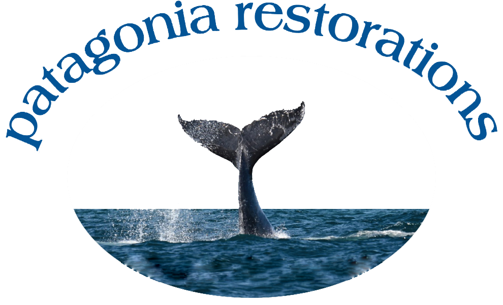 patagonia restorations