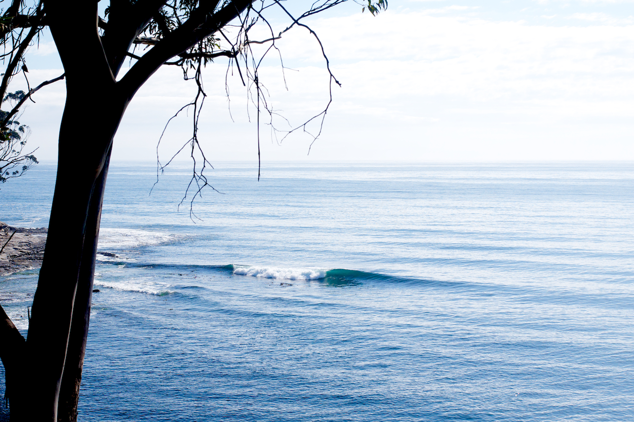 Surfing In Tasmania 8.jpg