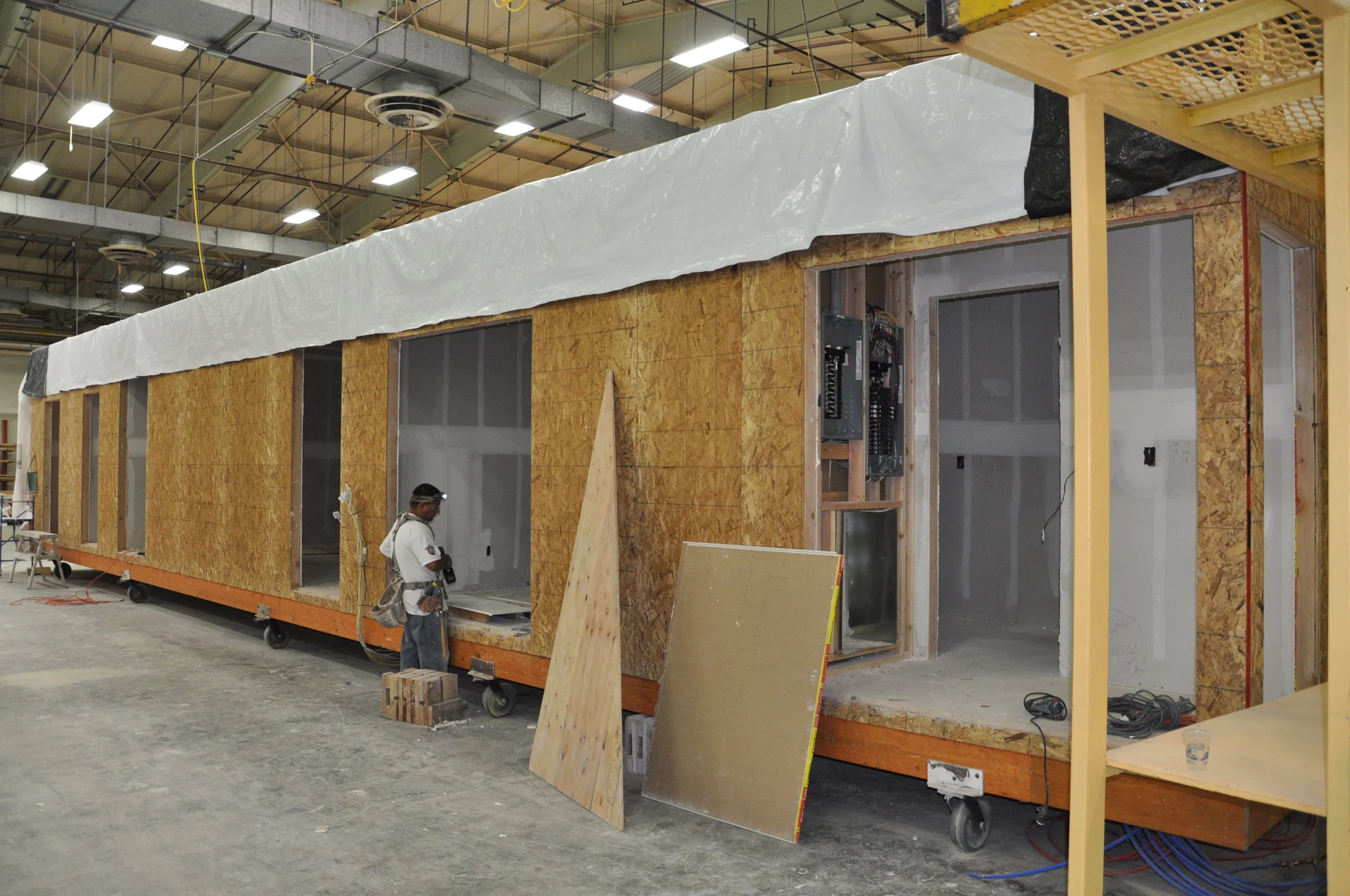 DV and KOB 2012 252.jpg