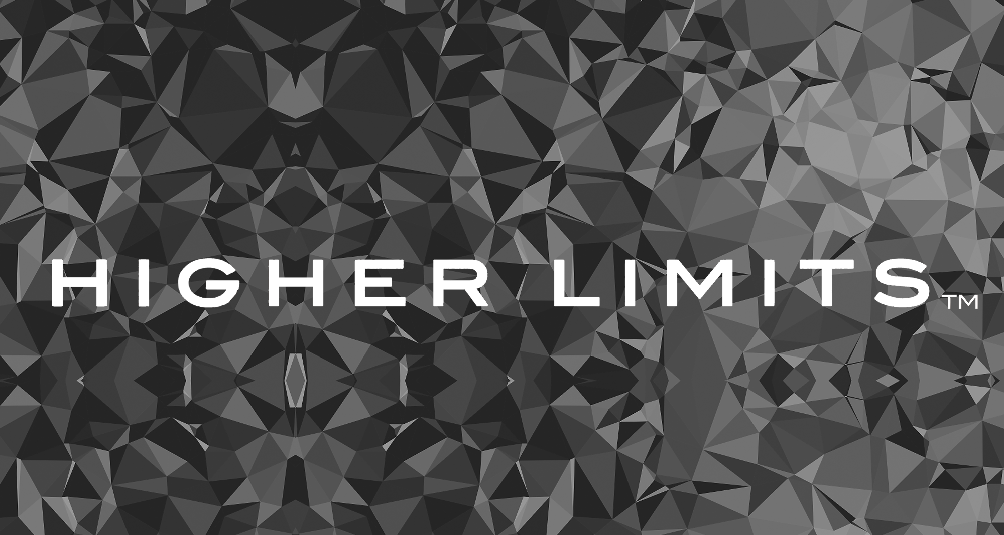 HiLi_Geometric_Shape_logo_banner.png